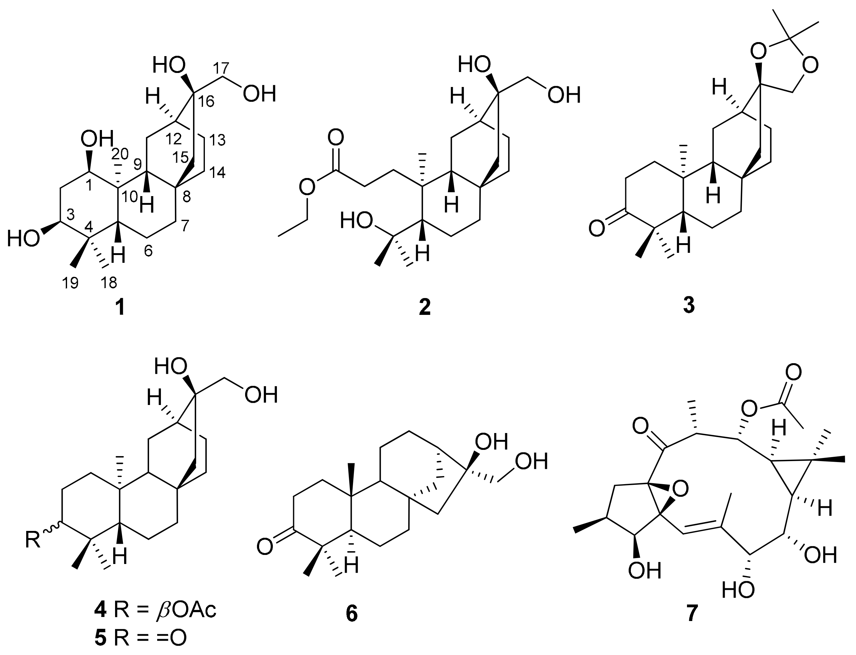 Molecules 26 02257 g001