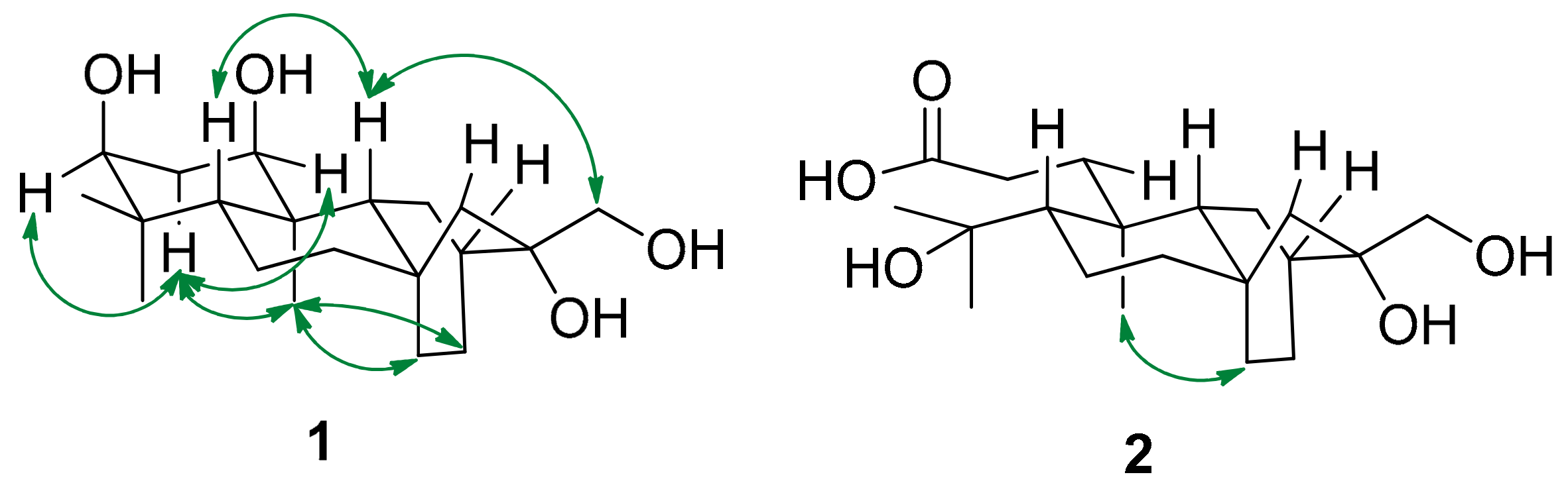 Molecules 26 02257 g003