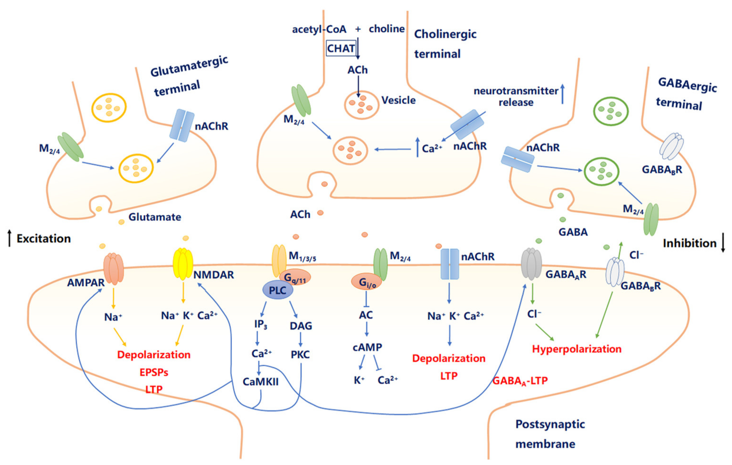 Molecules 26 02258 g001 Molecules 26 02258 g001