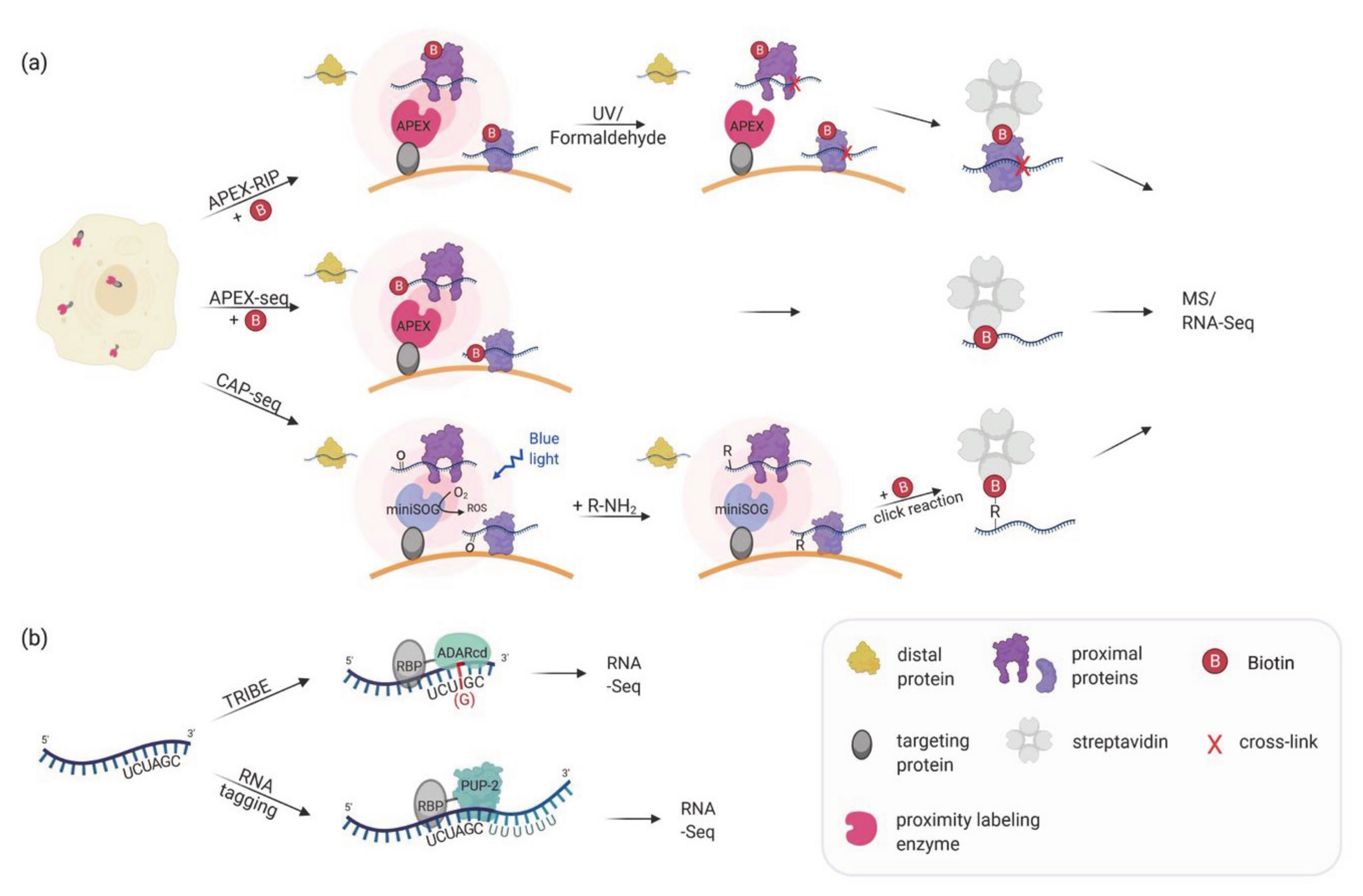 Molecules 26 02270 g002 Molecules 26 02270 g002