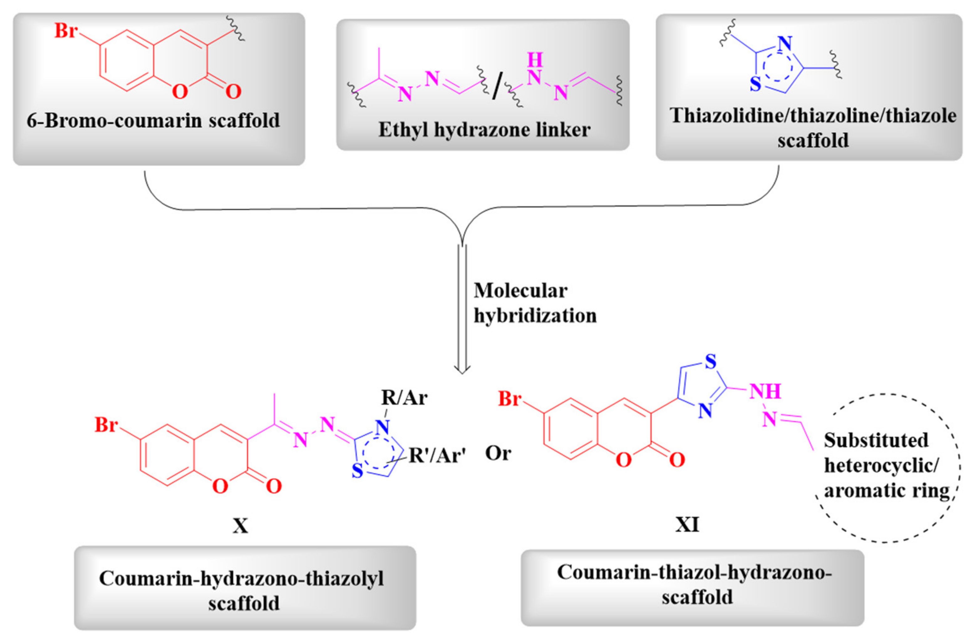 Molecules 26 02273 g004
