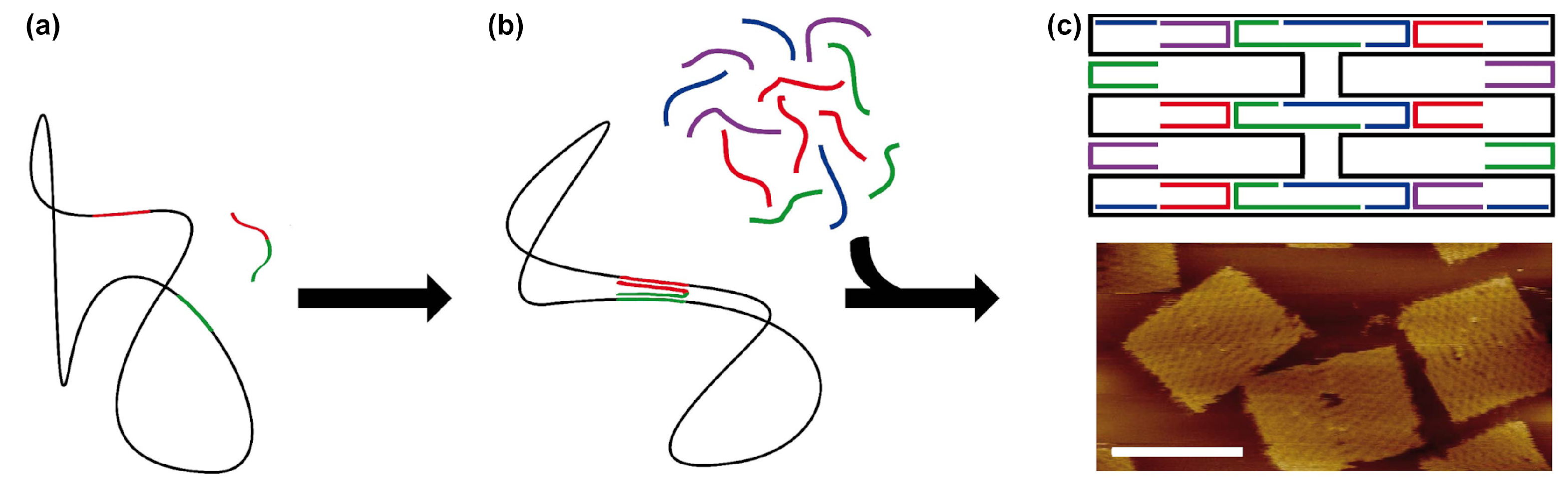 Molecules 26 02287 g002