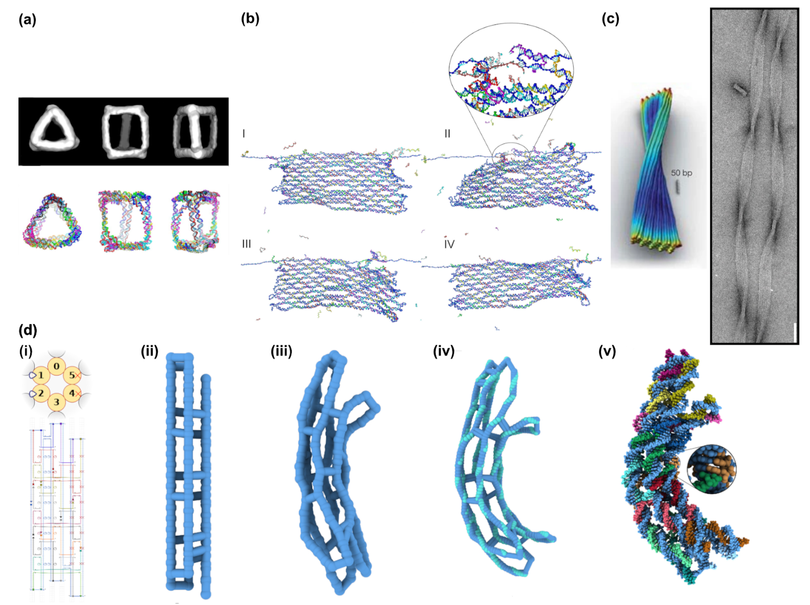 Molecules 26 02287 g010