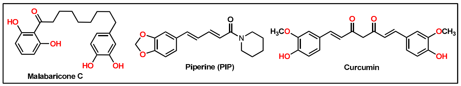 Molecules 26 02293 g001