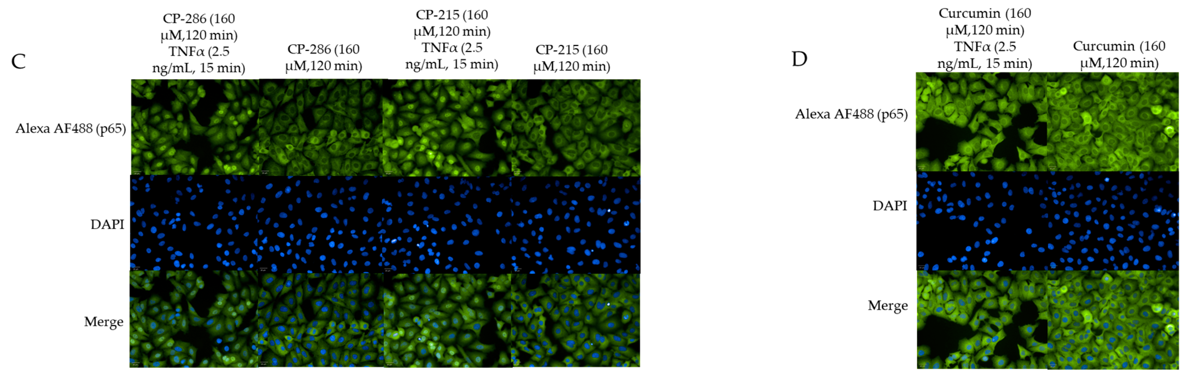 Molecules 26 02293 g007b