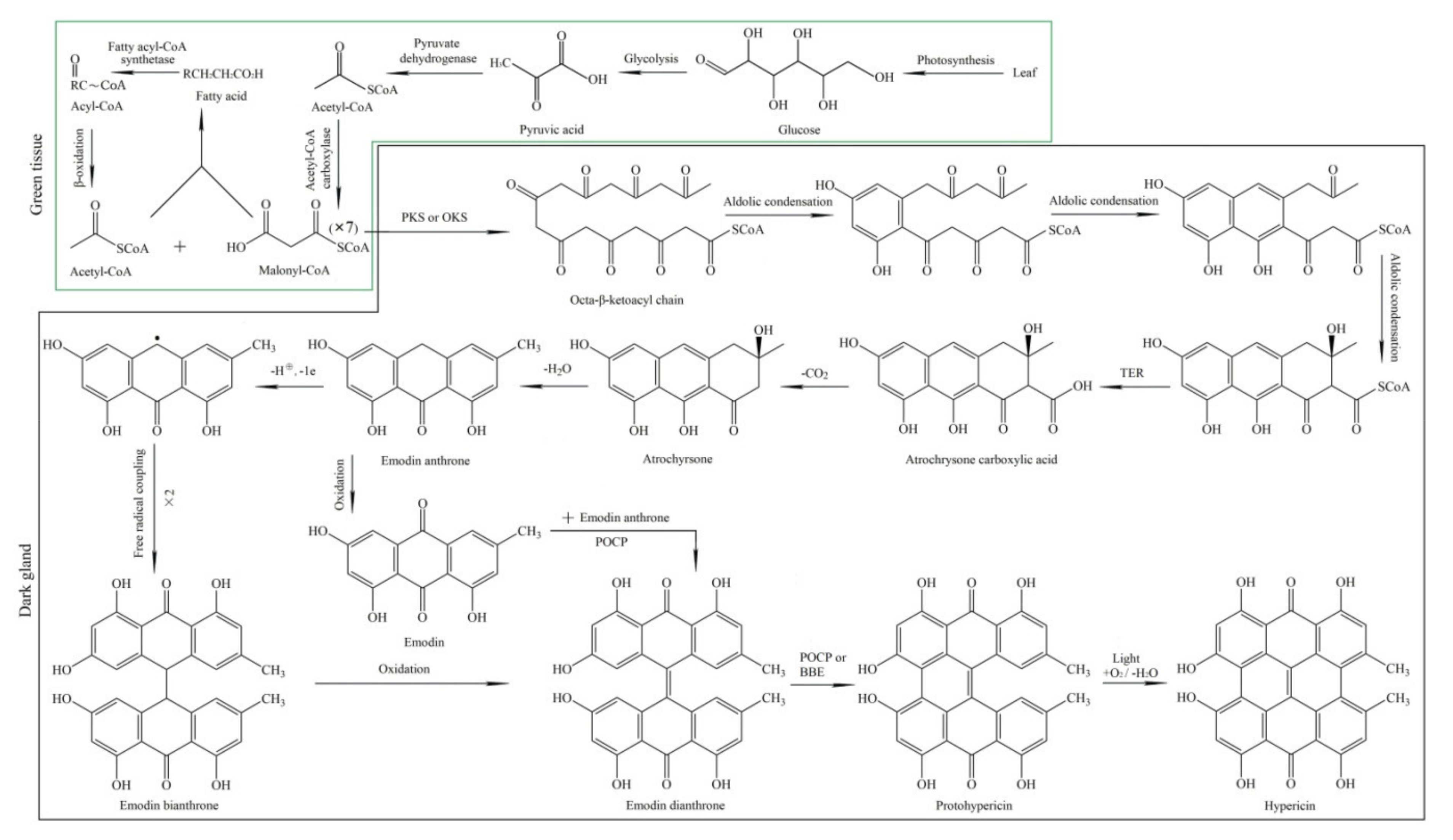 Molecules 26 02294 g001