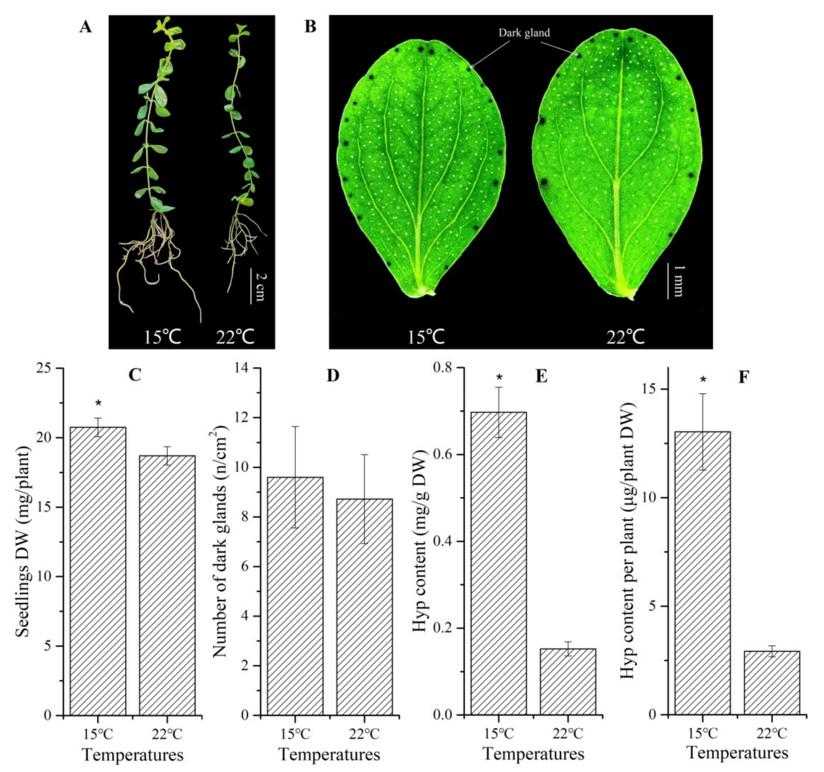 Molecules 26 02294 g002