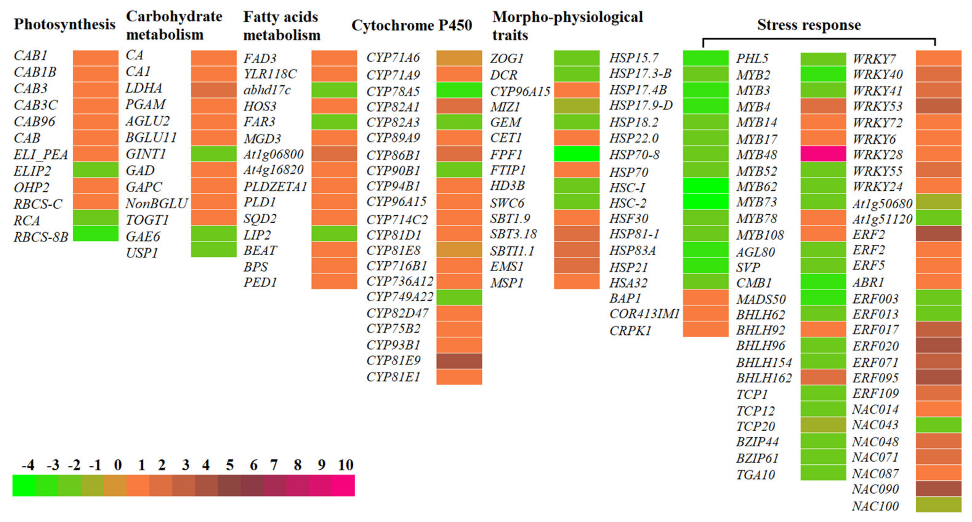 Molecules 26 02294 g005