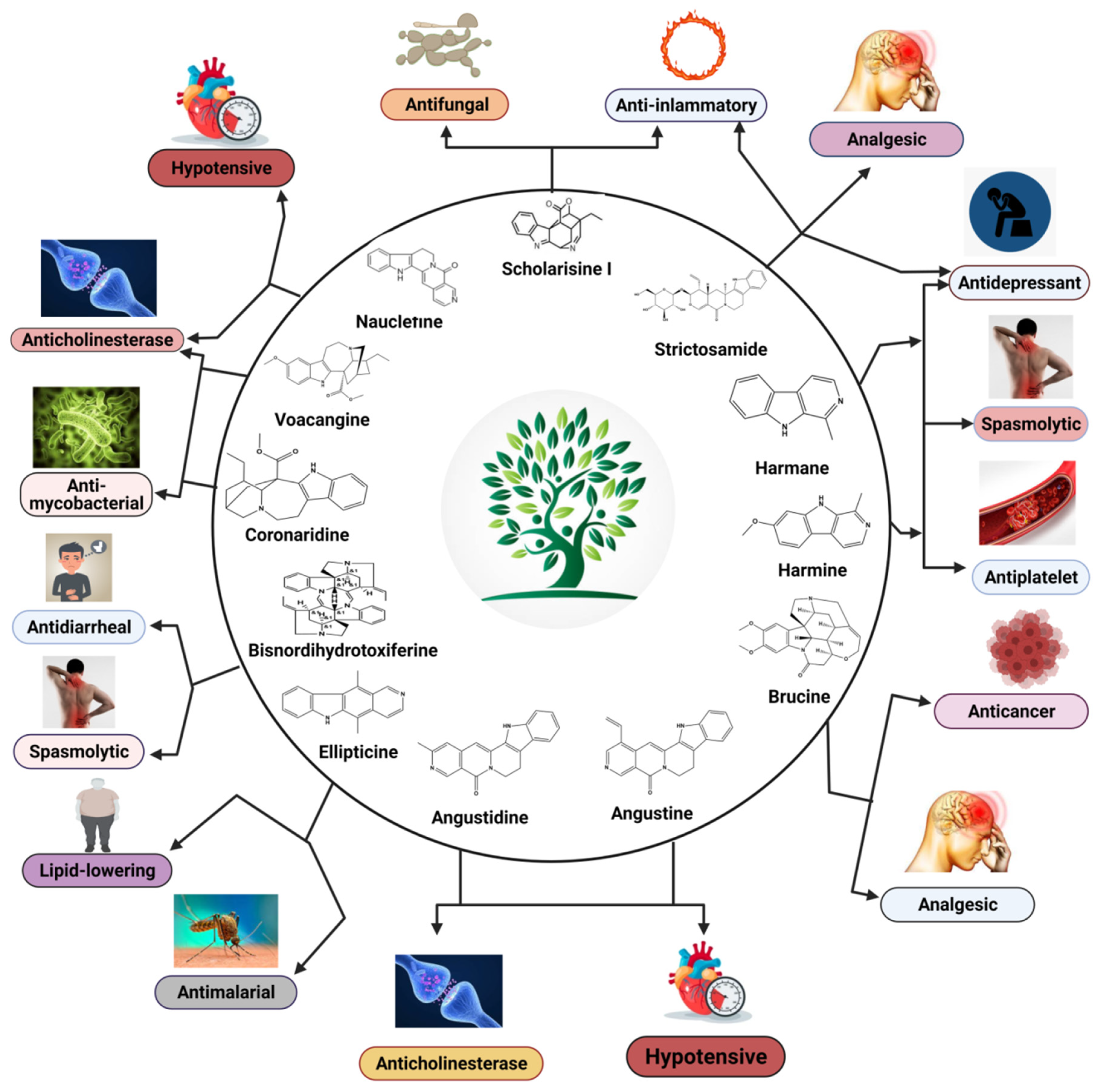 Molecules 26 02297 g019