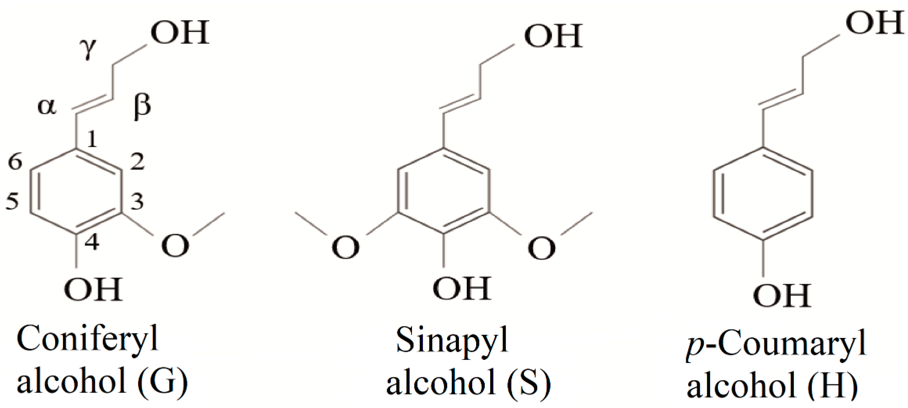 Molecules 26 02299 g001 Molecules 26 02299 g001