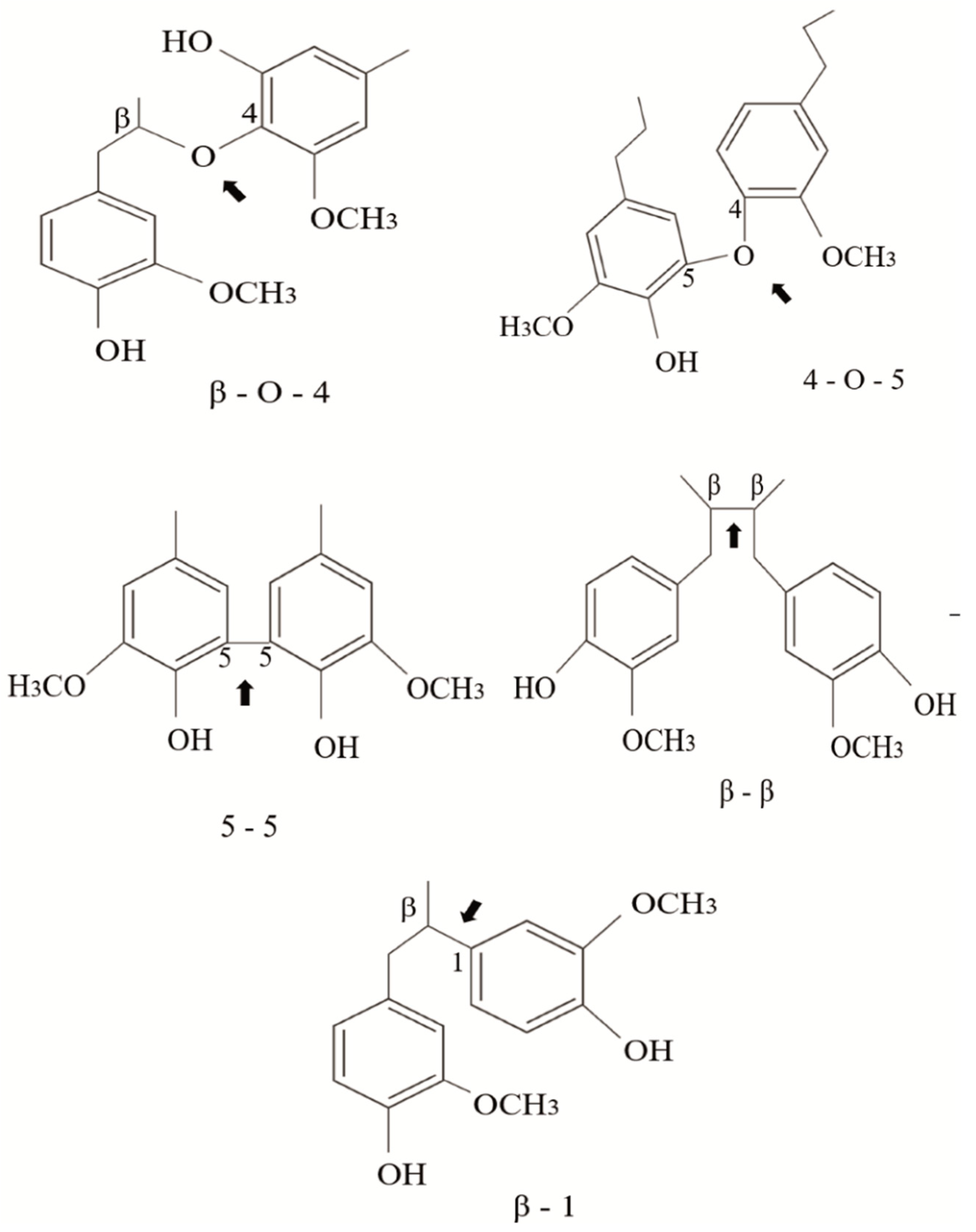 Molecules 26 02299 g002 Molecules 26 02299 g002