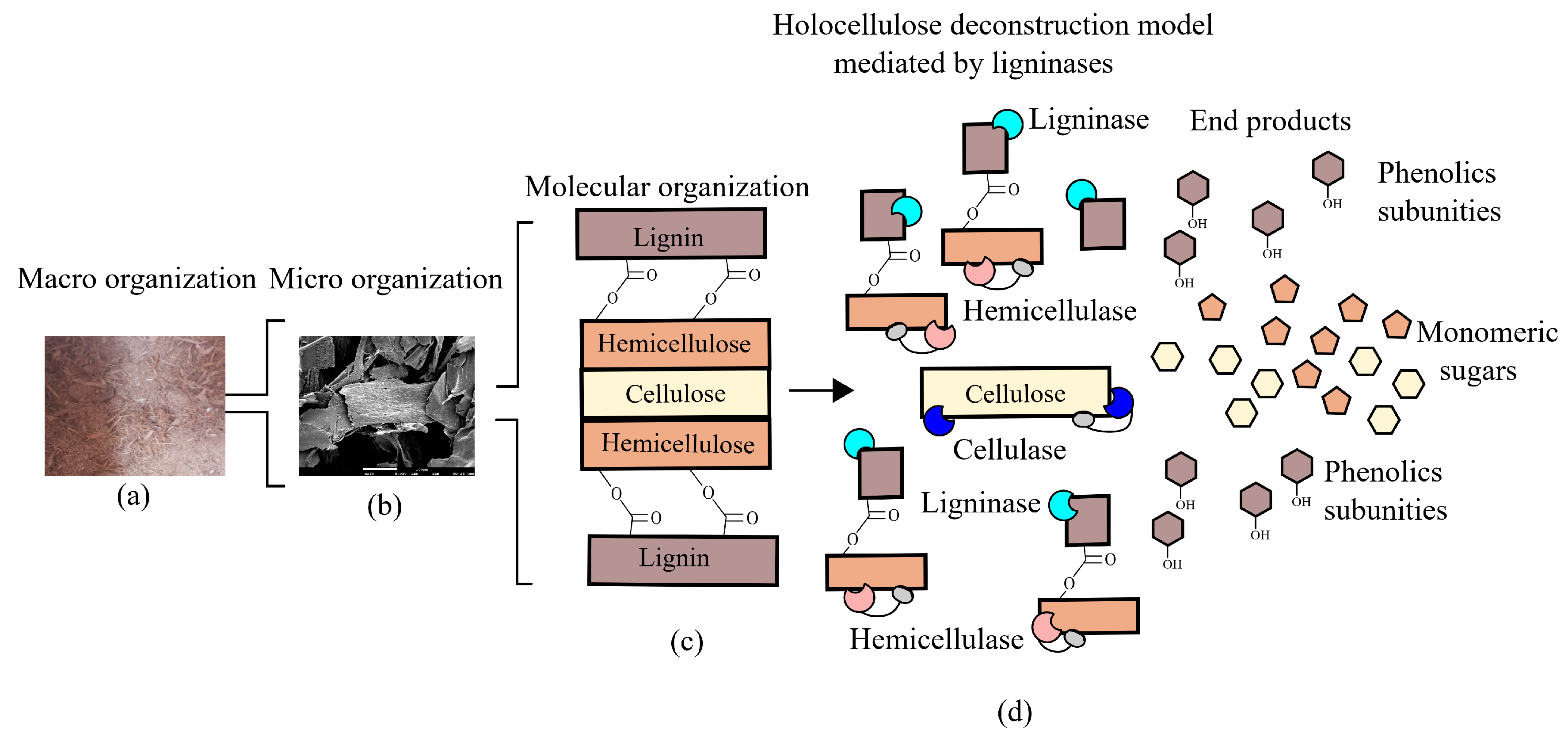 Molecules 26 02299 g003 Molecules 26 02299 g003