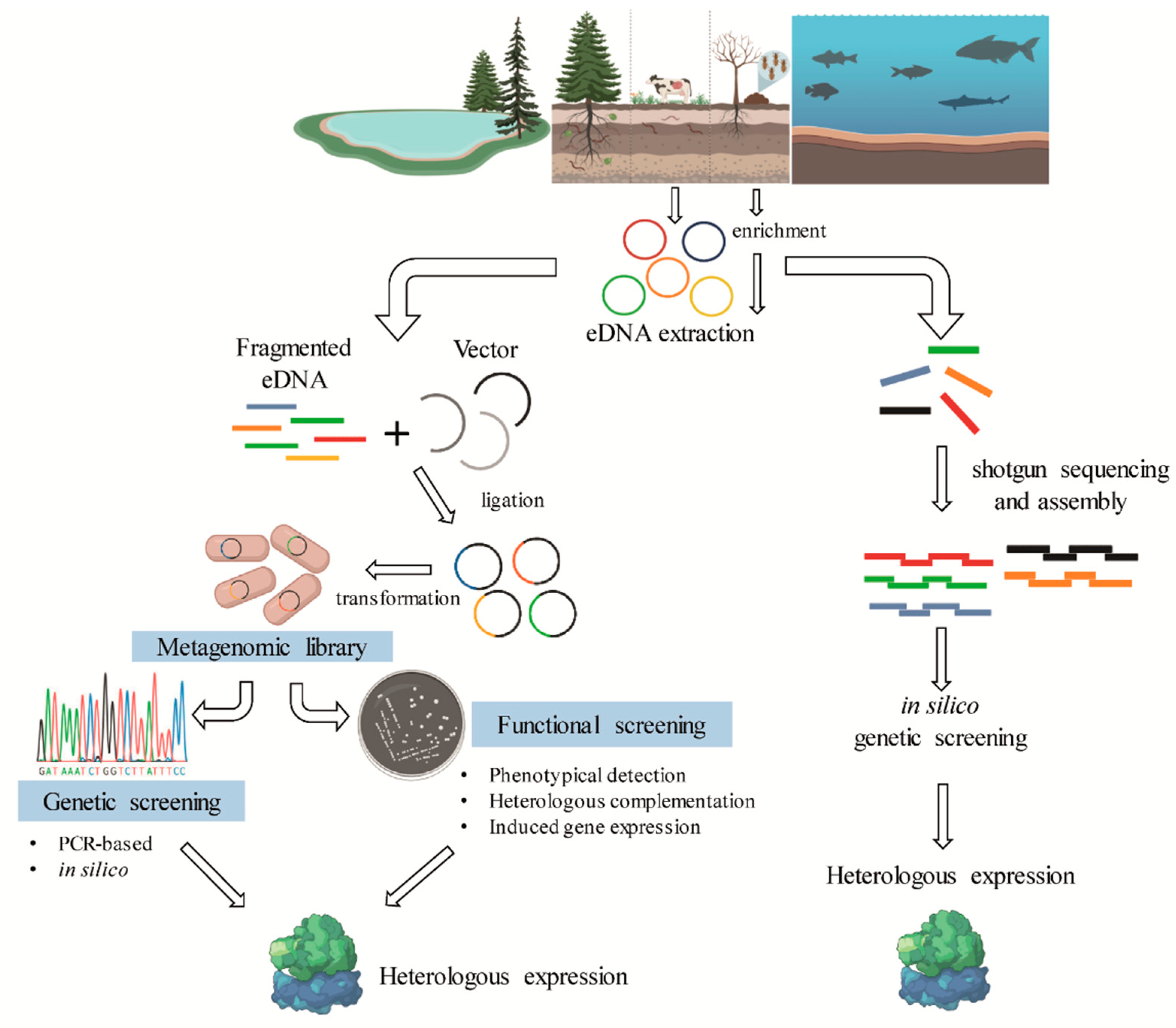 Molecules 26 02299 g004 Molecules 26 02299 g004