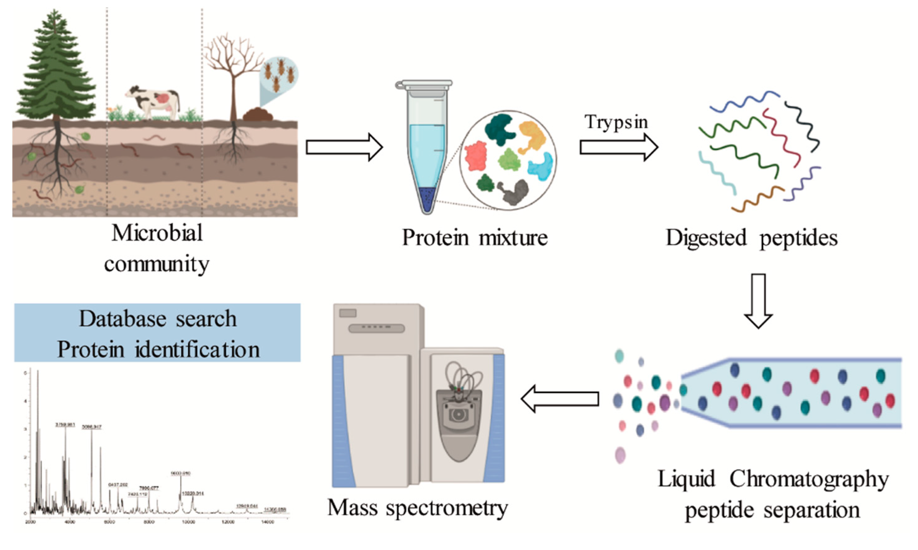 Molecules 26 02299 g006 Molecules 26 02299 g006