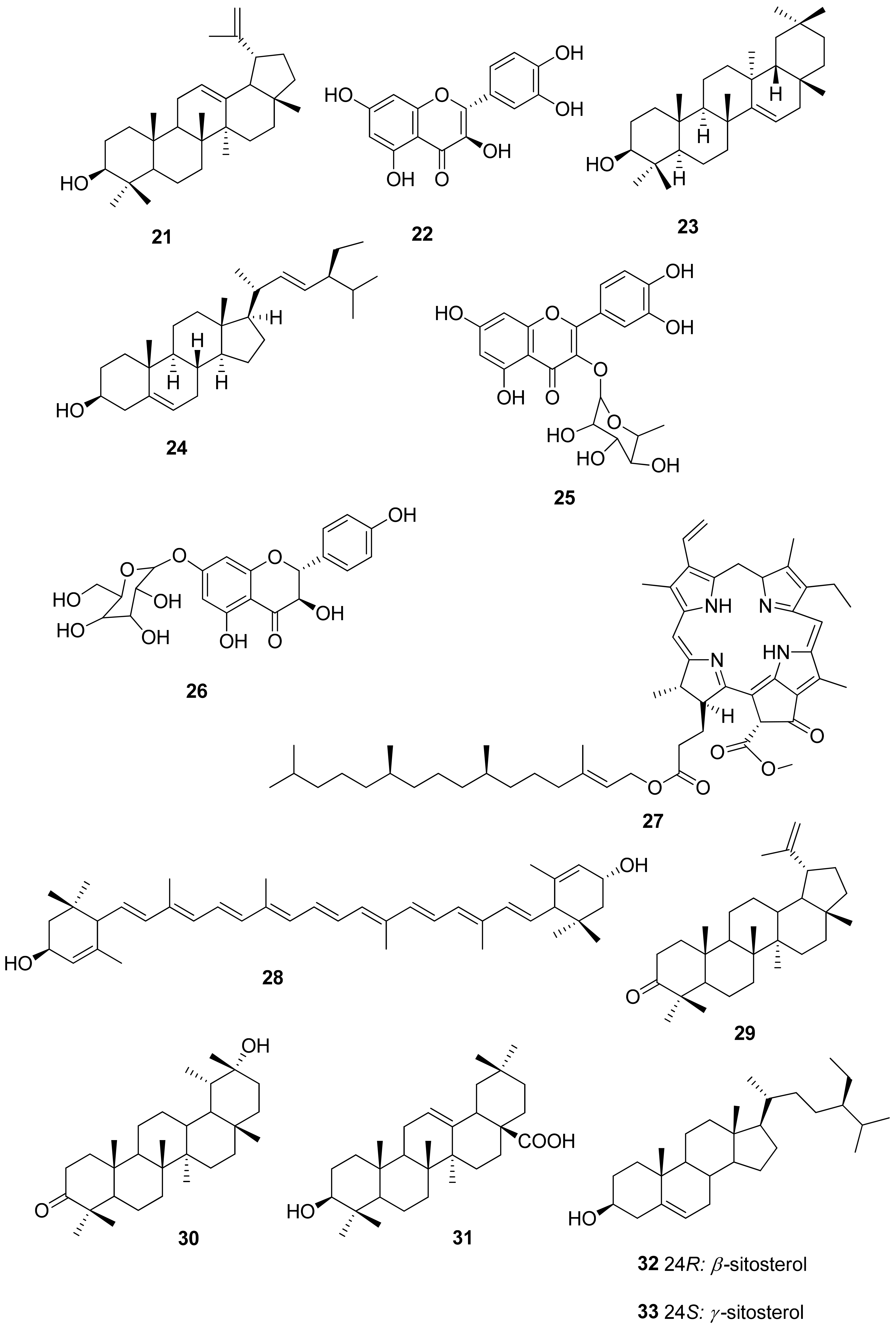 Molecules 26 02306 g003 Molecules 26 02306 g003