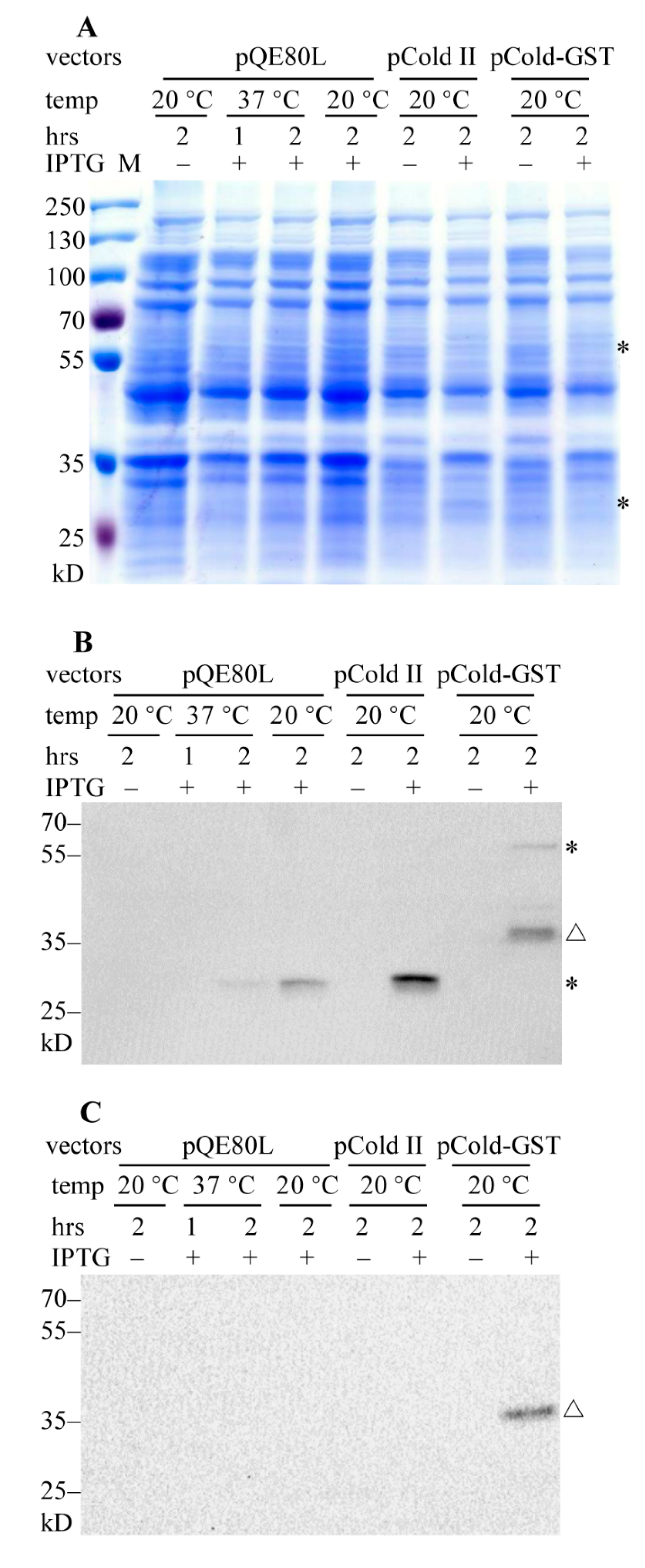 Molecules 26 02308 g001
