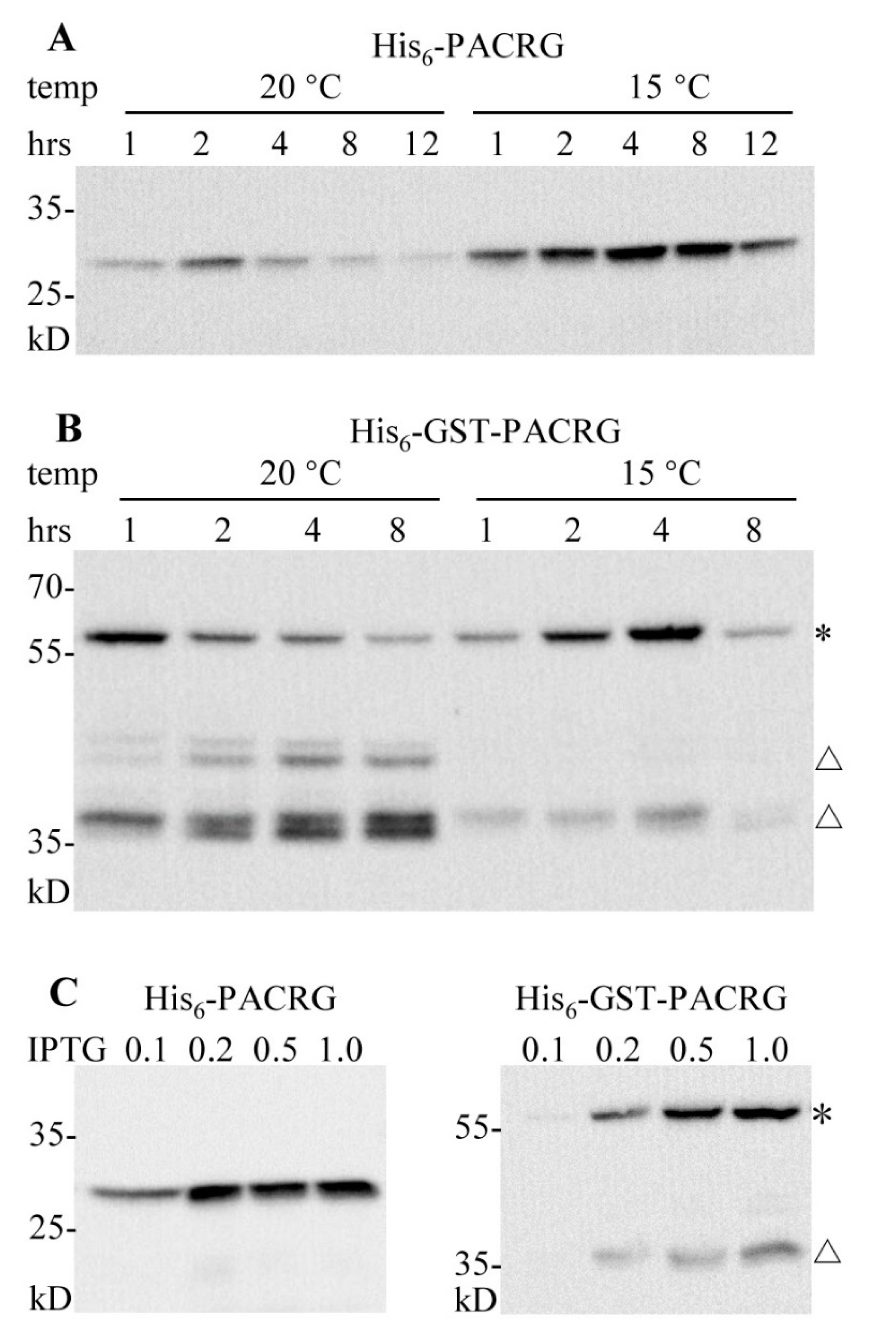 Molecules 26 02308 g002