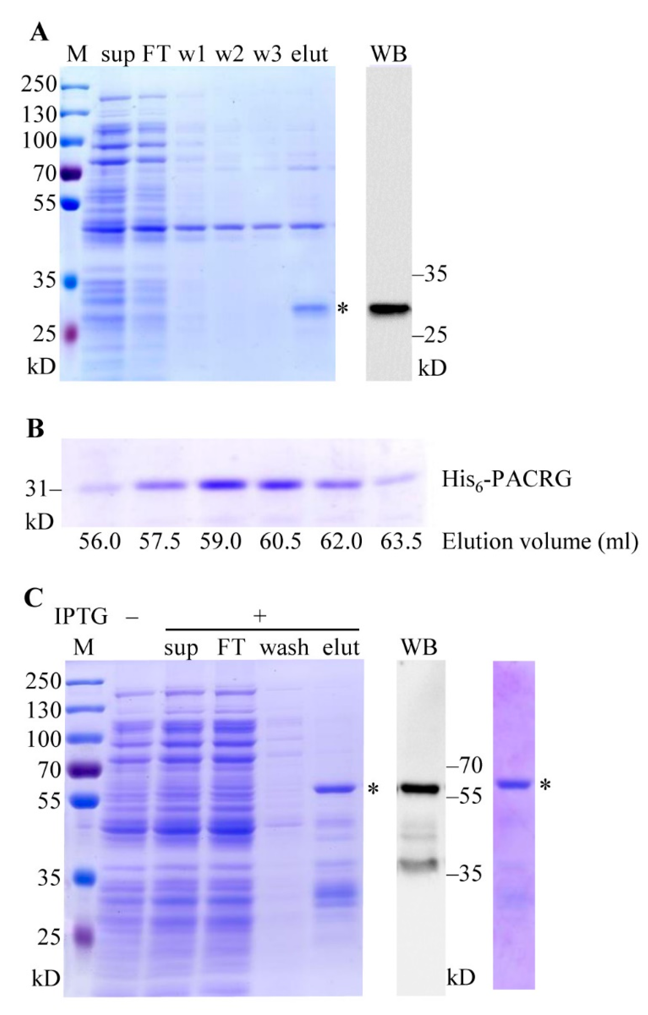 Molecules 26 02308 g003