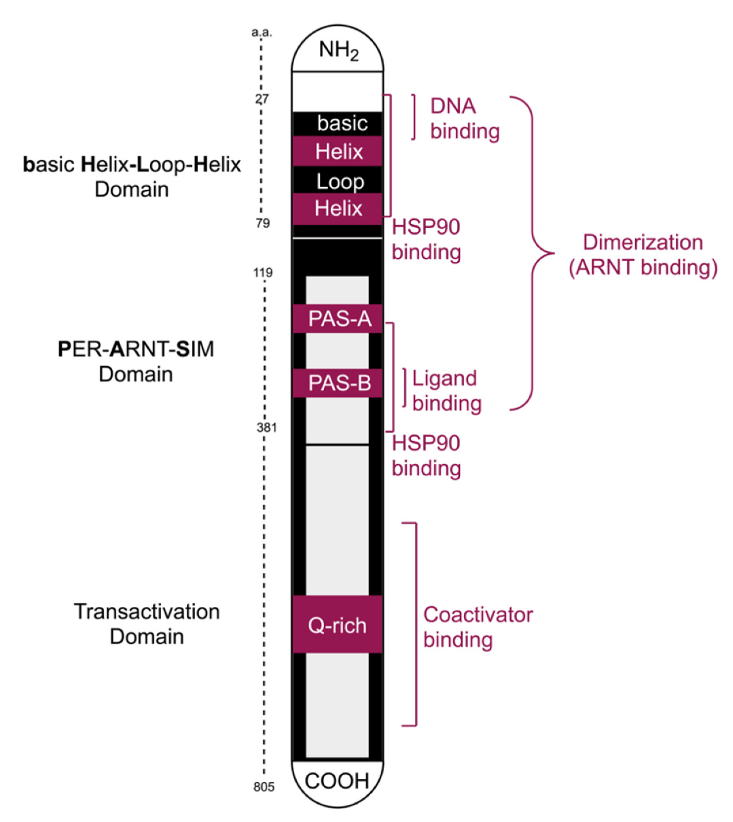 Molecules 26 02315 g001 Molecules 26 02315 g001