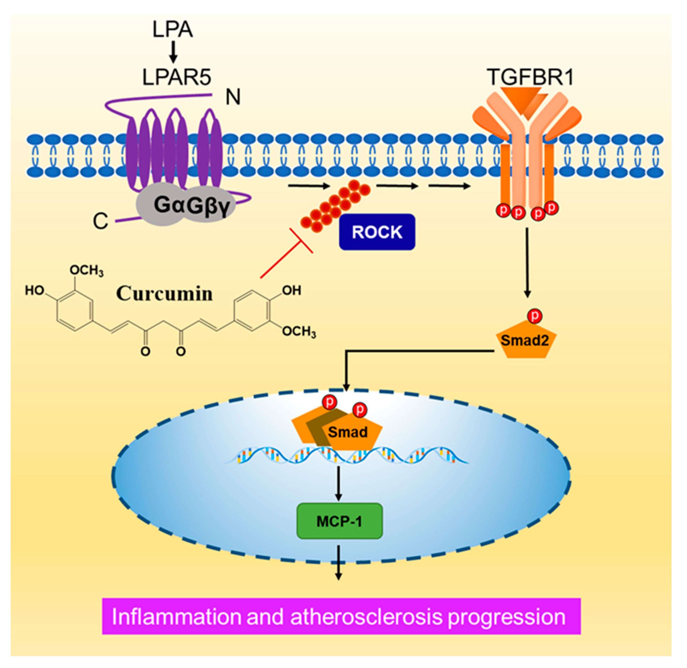 Molecules 26 02320 g007