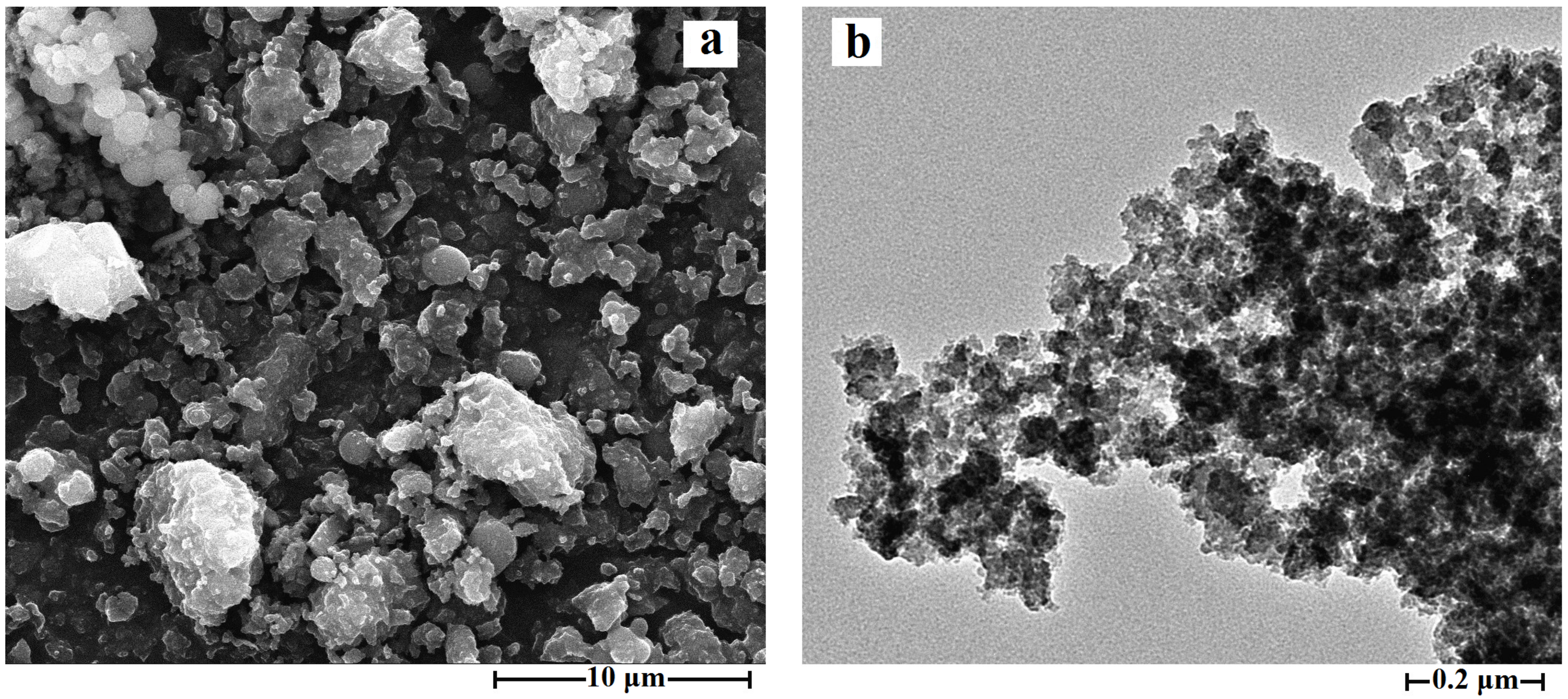 Molecules 26 02322 g006