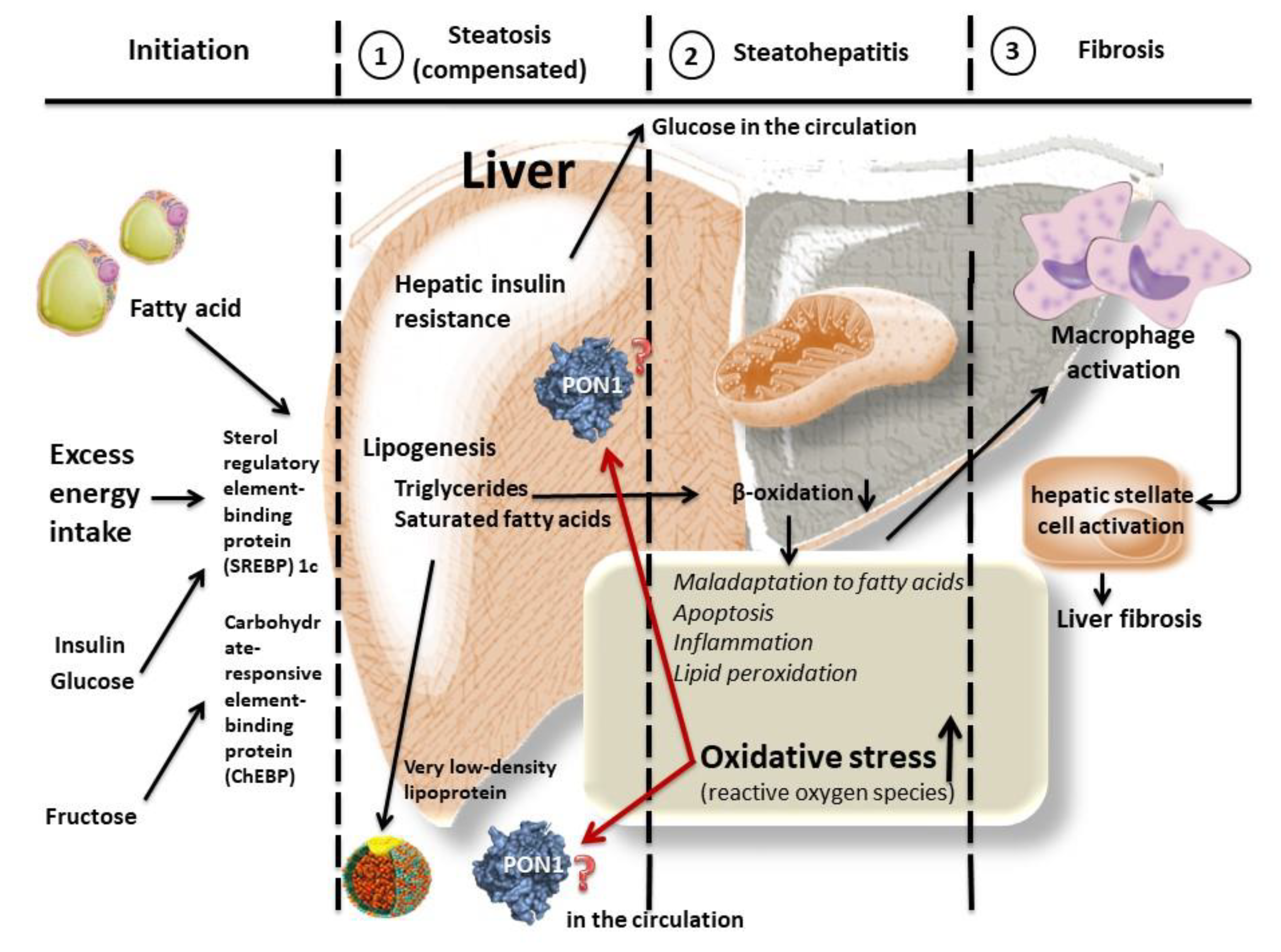Molecules 26 02323 g001