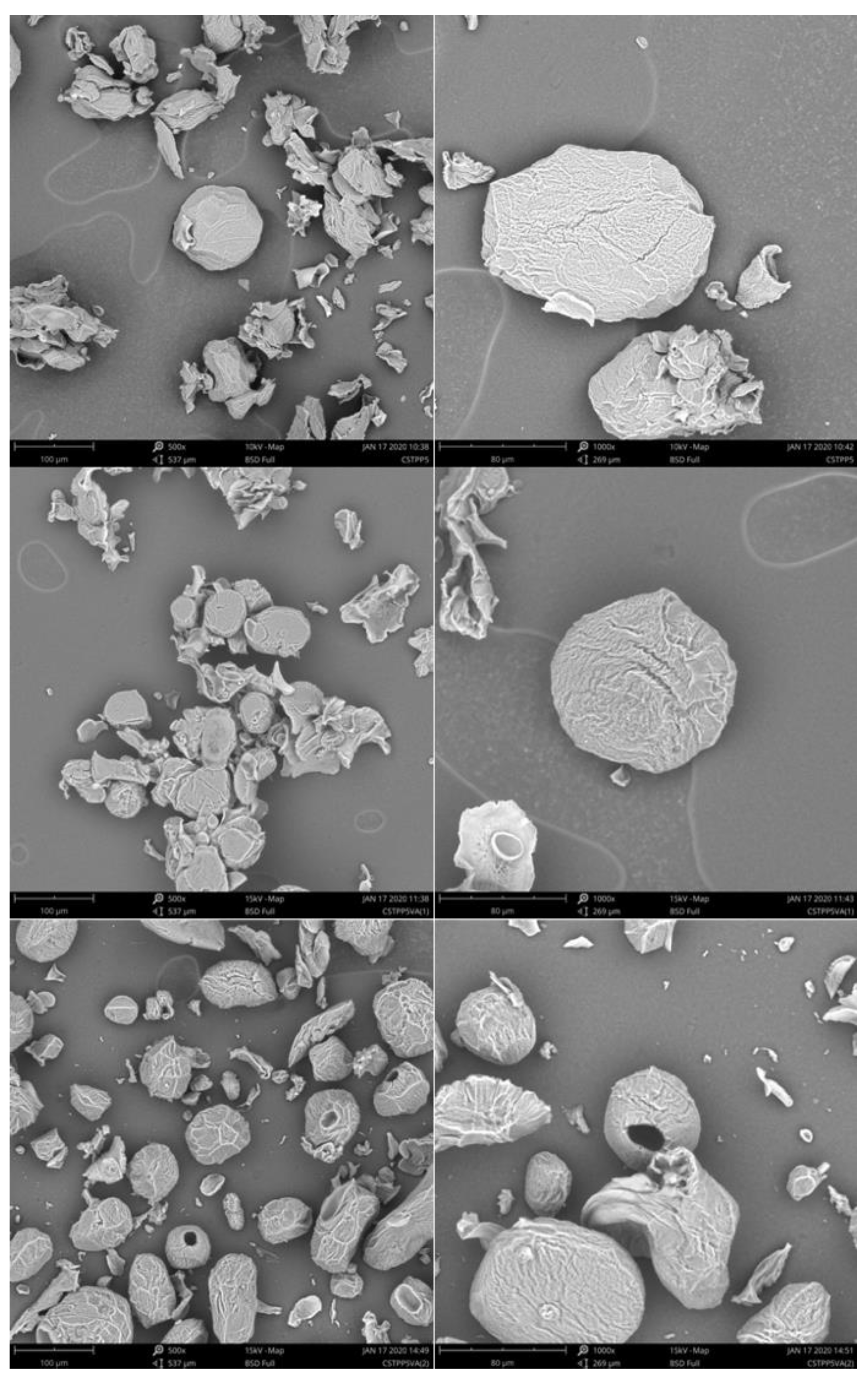 Molecules 26 02325 g005
