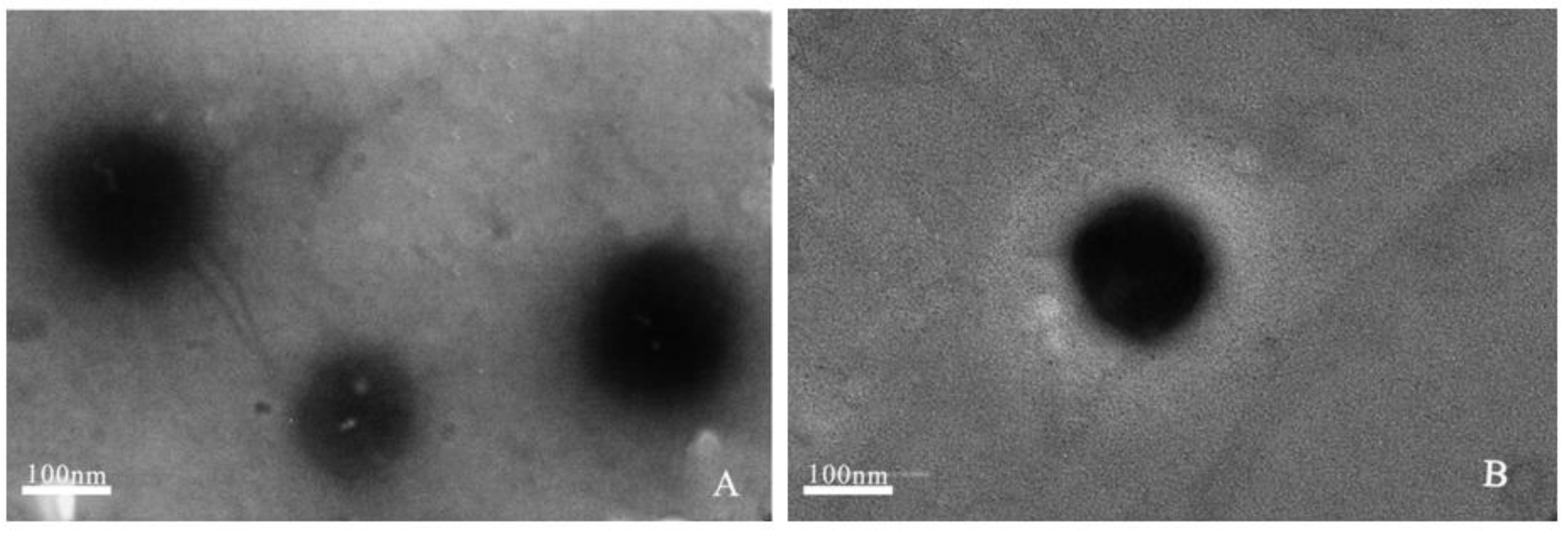 Molecules 26 02328 g001 Molecules 26 02328 g001