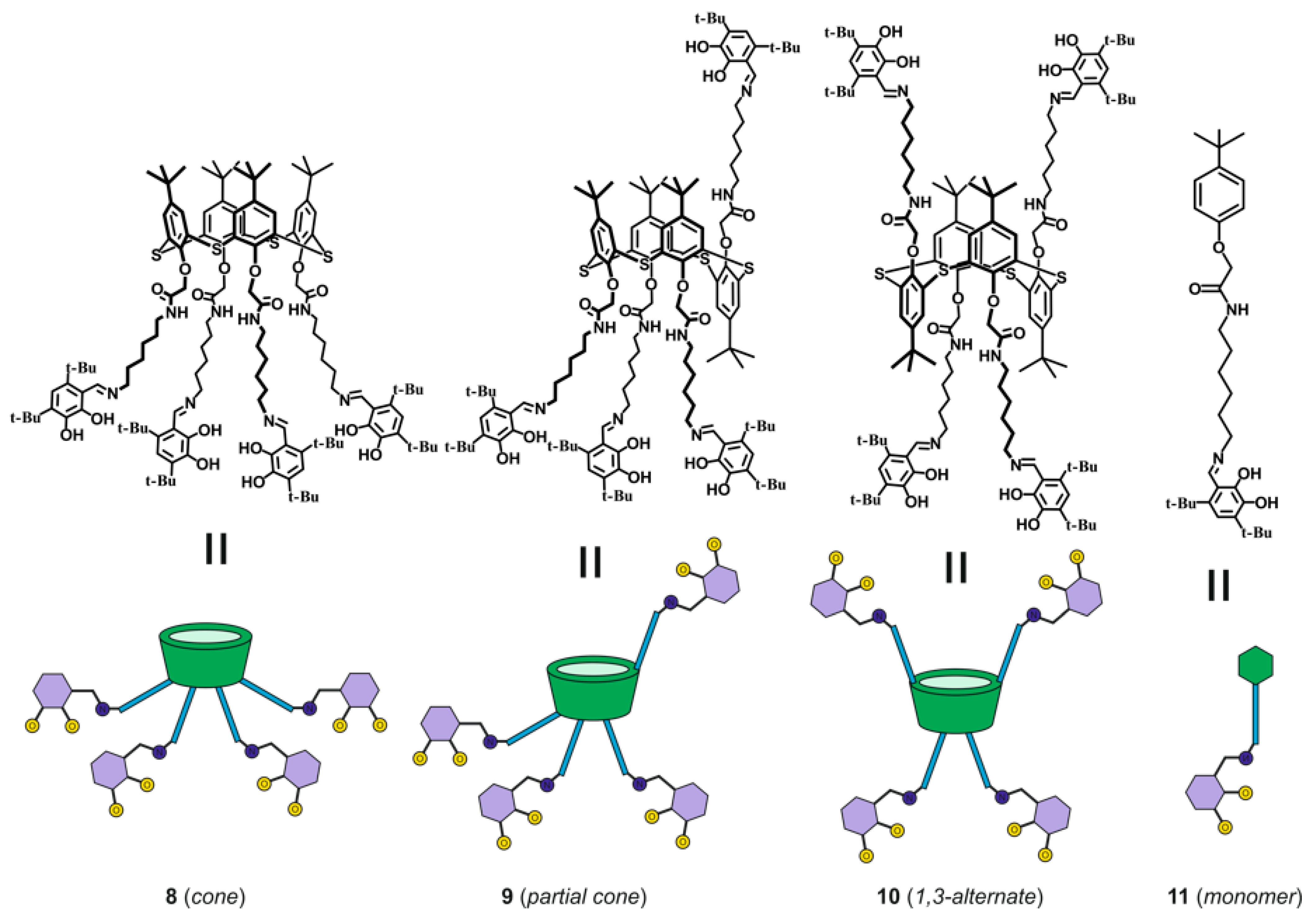 Molecules 26 02334 g001