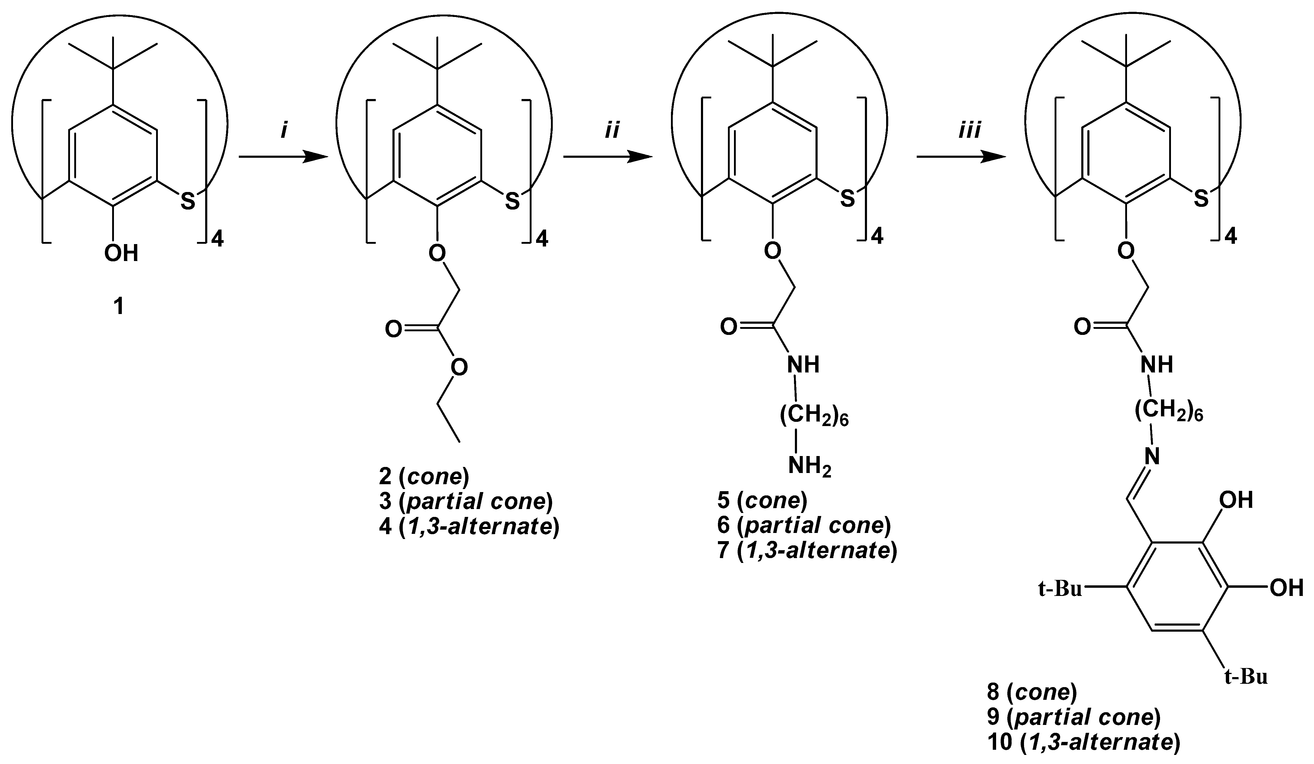 Molecules 26 02334 sch001
