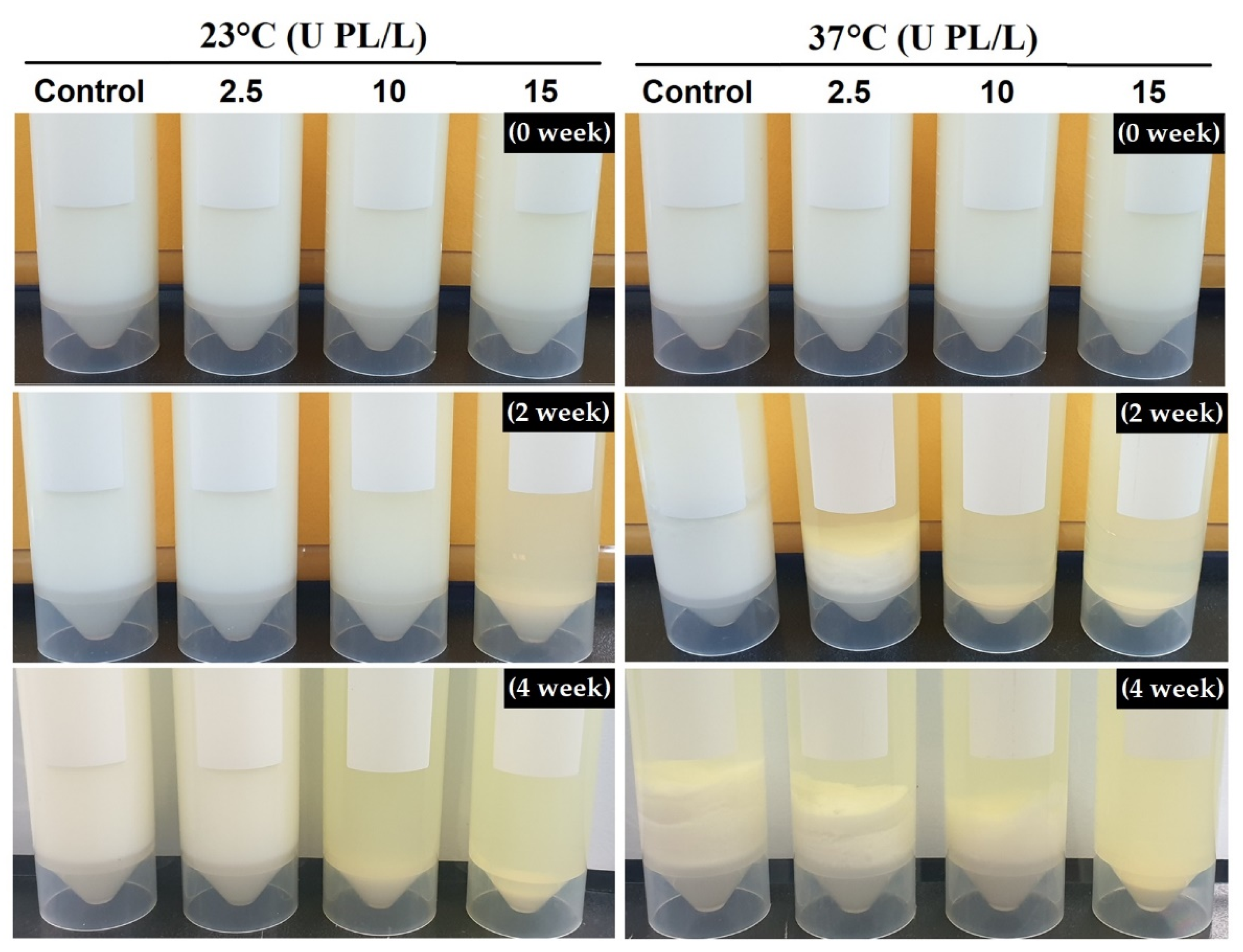 Molecules 26 02339 g002 Molecules 26 02339 g002
