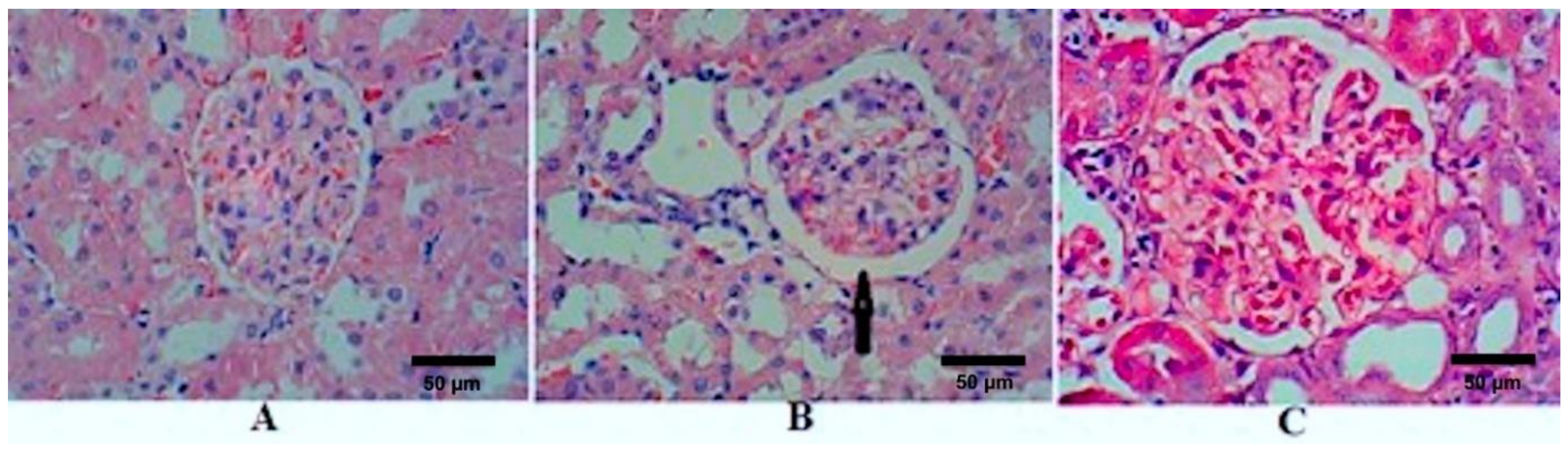 Molecules 26 02348 g001 Molecules 26 02348 g001