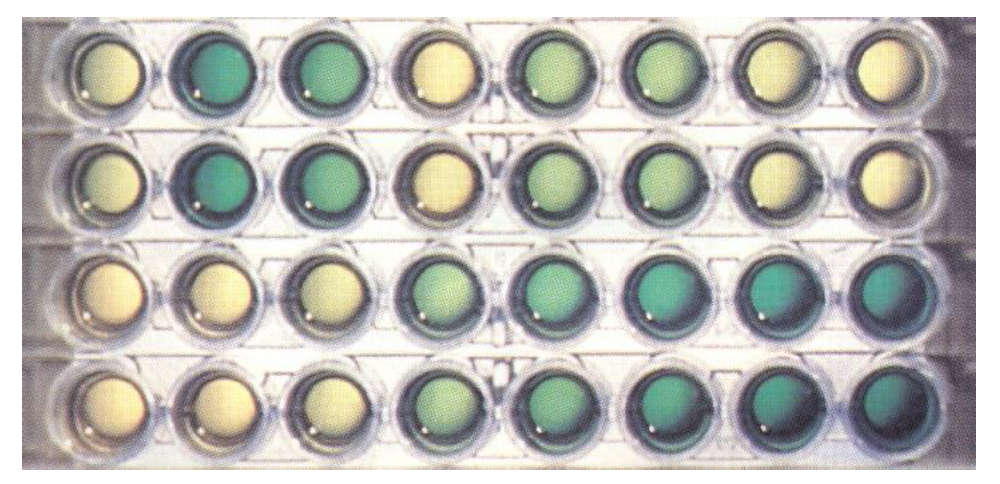 Molecules 26 02356 g002