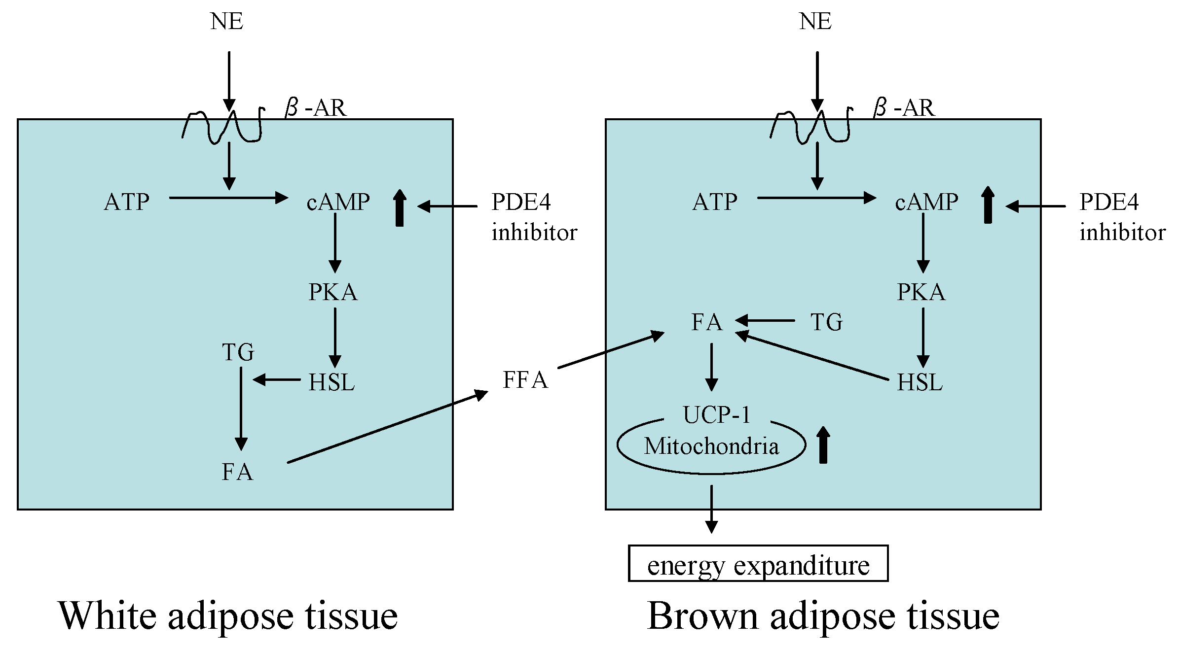 Molecules 26 02362 g004 Molecules 26 02362 g004