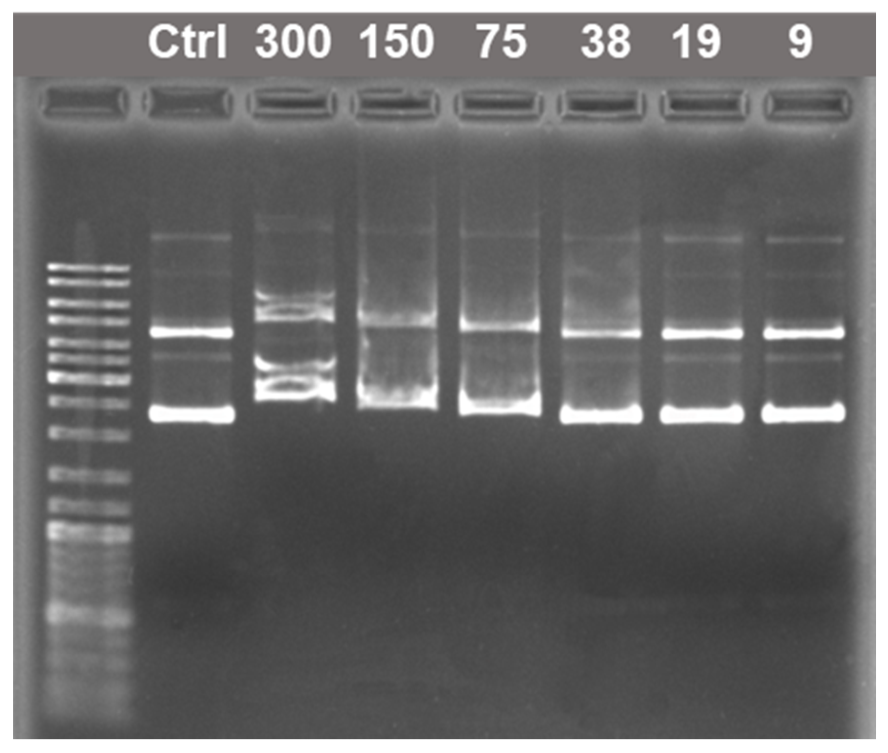 Molecules 26 02363 g008 Molecules 26 02363 g008
