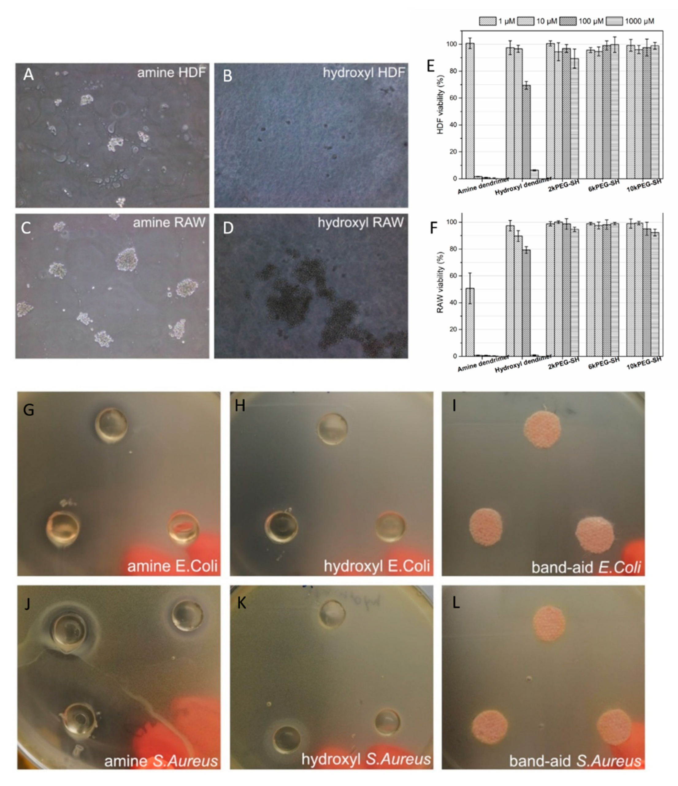 Molecules 26 02364 g005