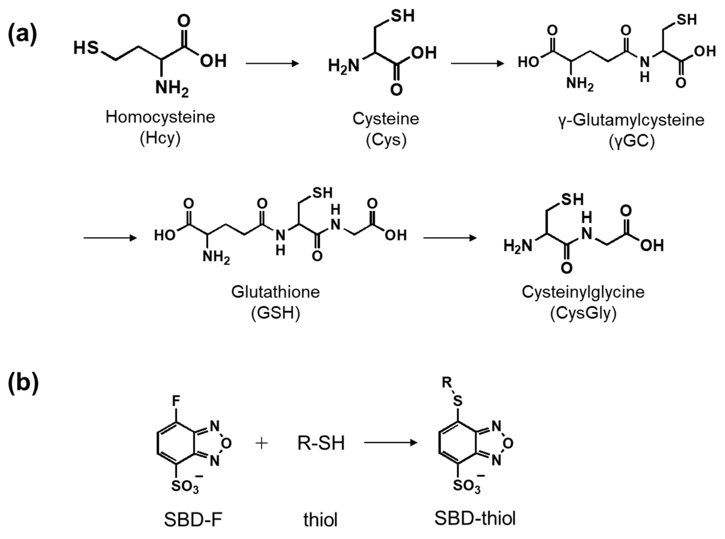 Molecules 26 02365 g001 Molecules 26 02365 g001
