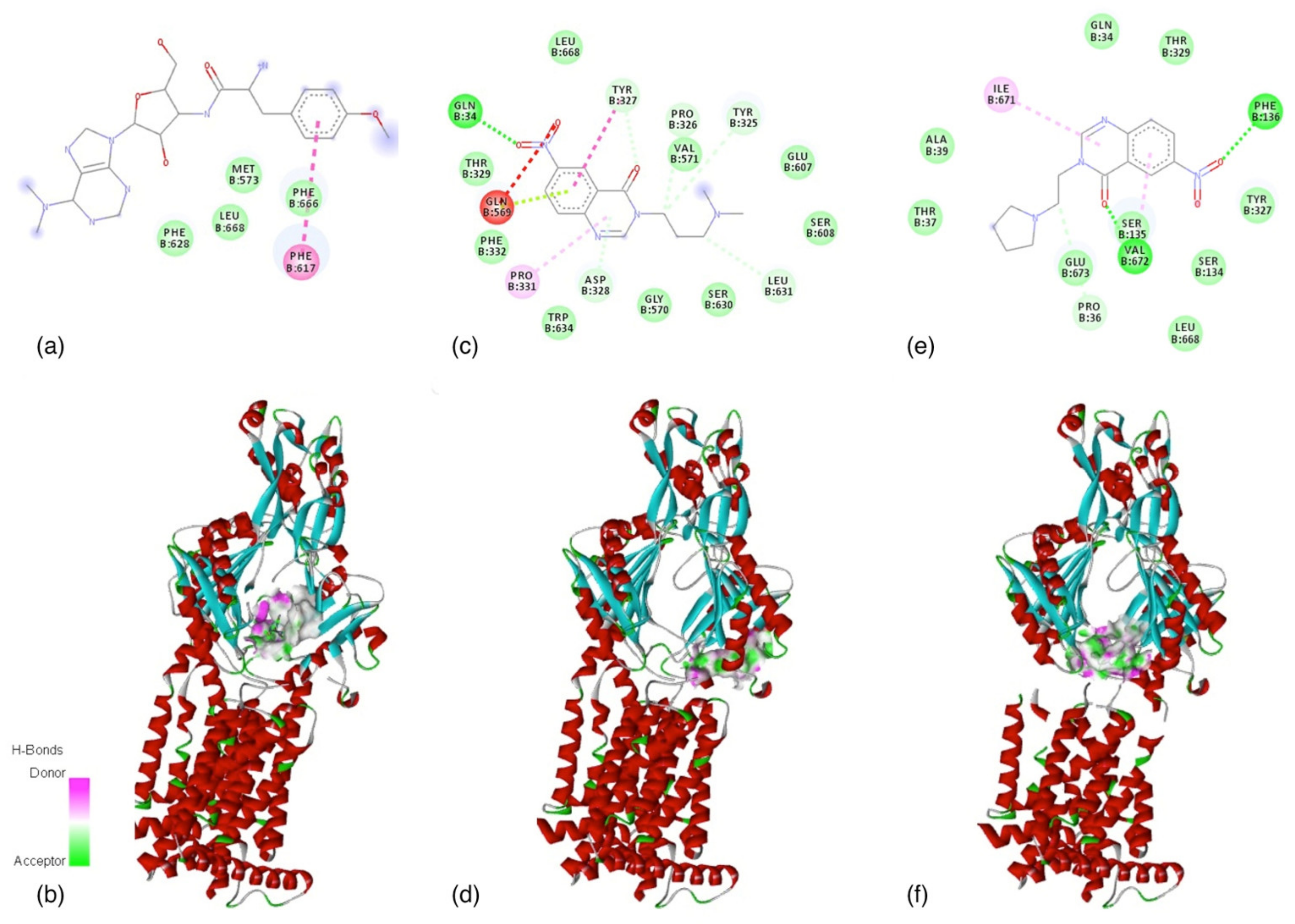 Molecules 26 02374 g001 Molecules 26 02374 g001