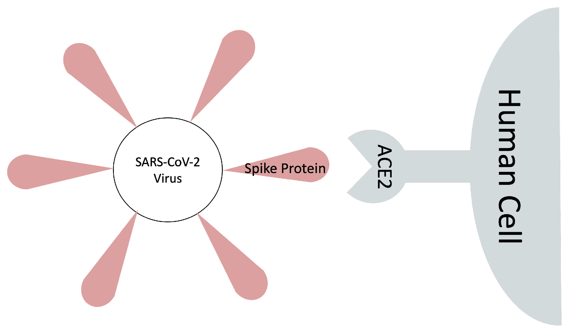 Molecules 26 02383 g001 Molecules 26 02383 g001