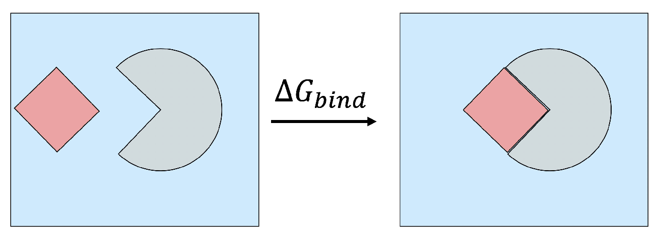 Molecules 26 02383 g002 Molecules 26 02383 g002
