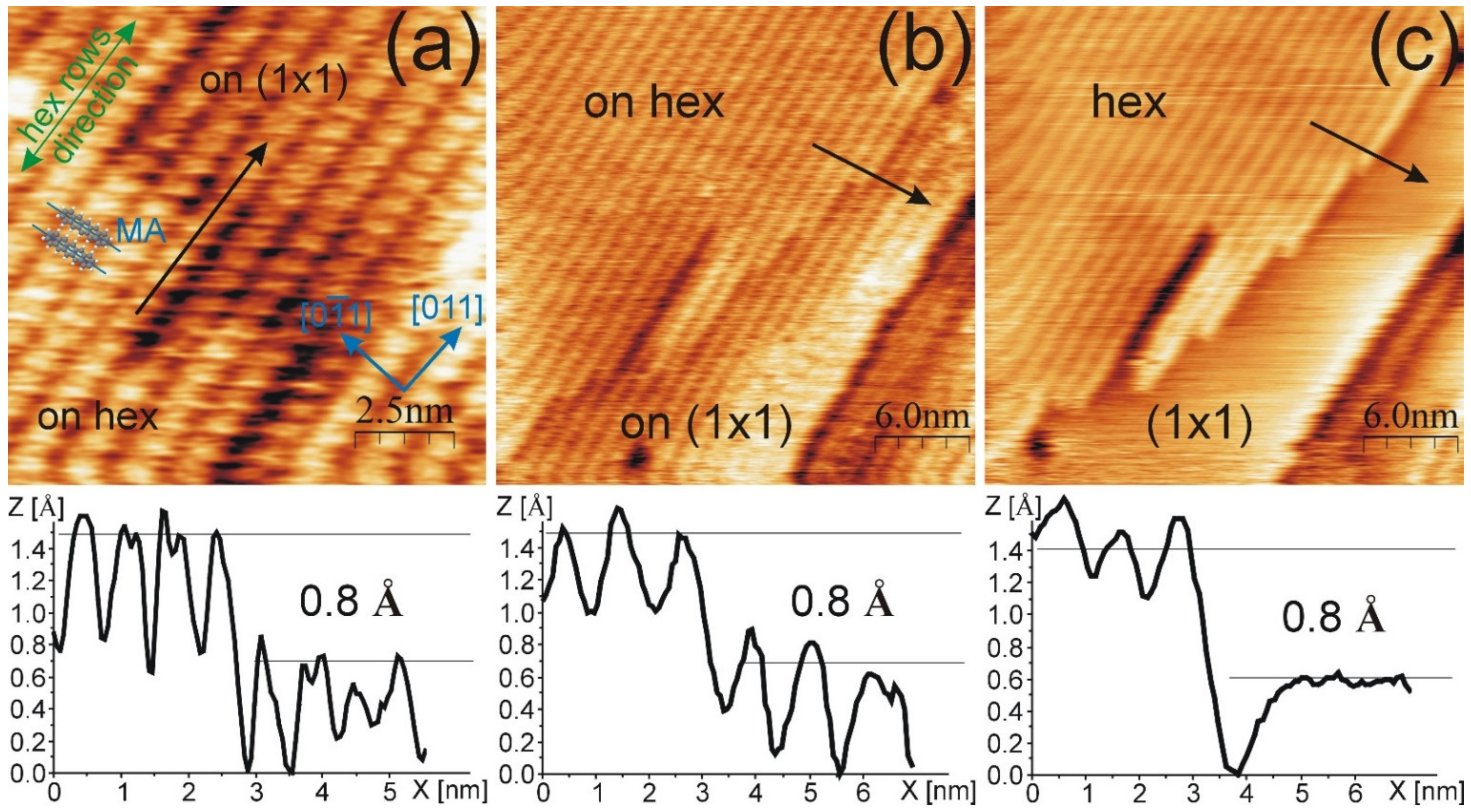Molecules 26 02393 g001
