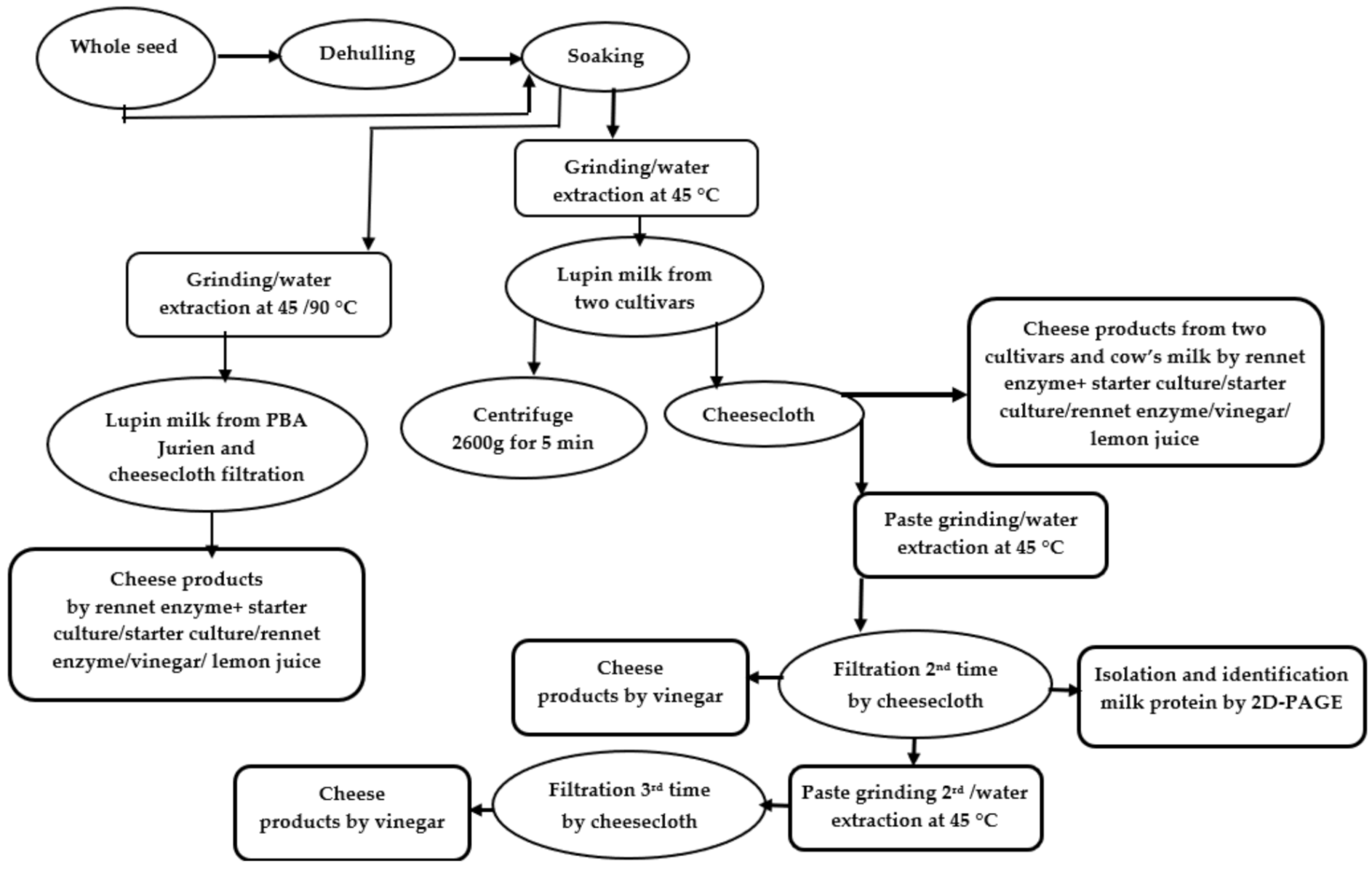 Molecules 26 02395 g001