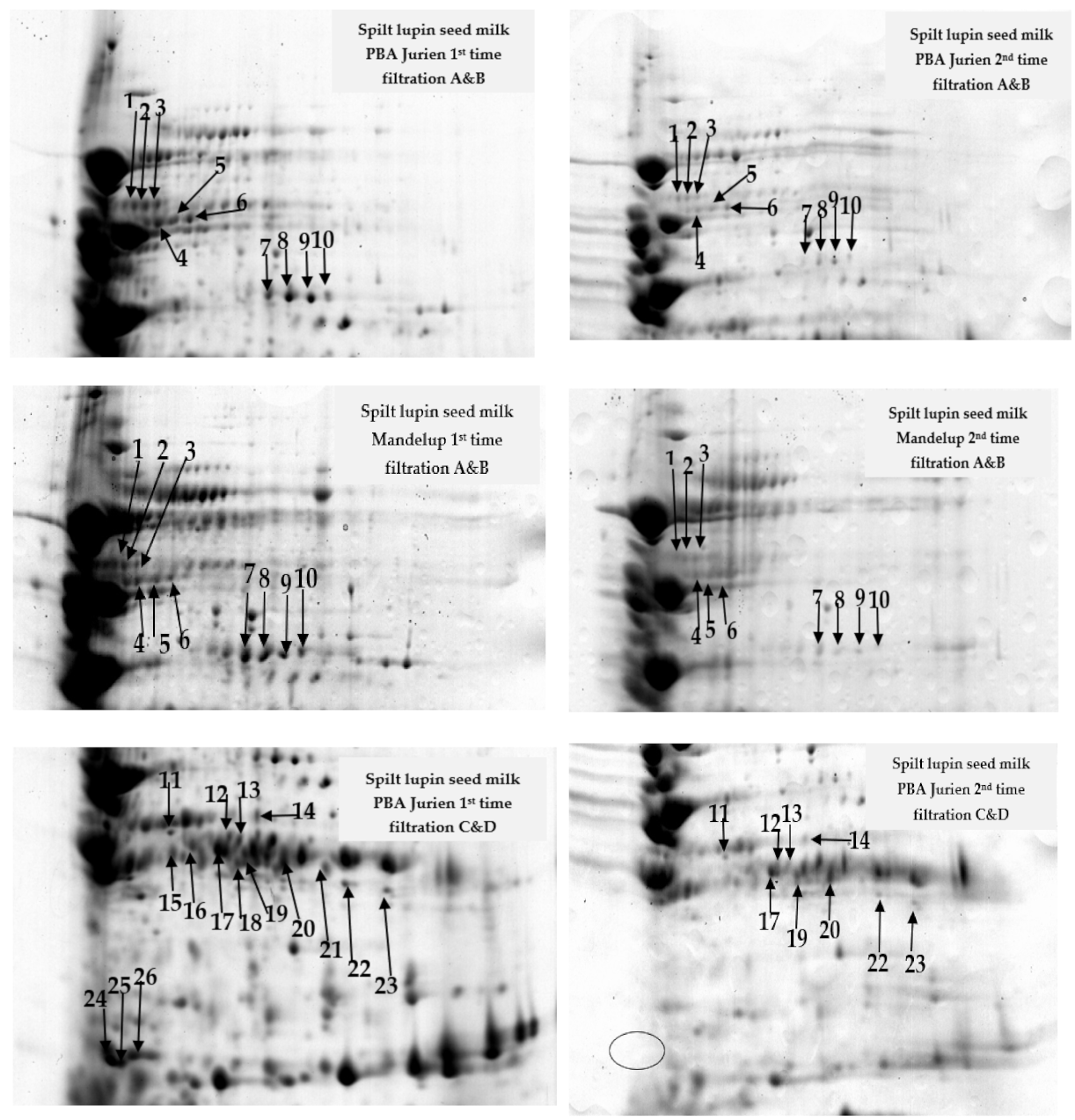 Molecules 26 02395 g003a