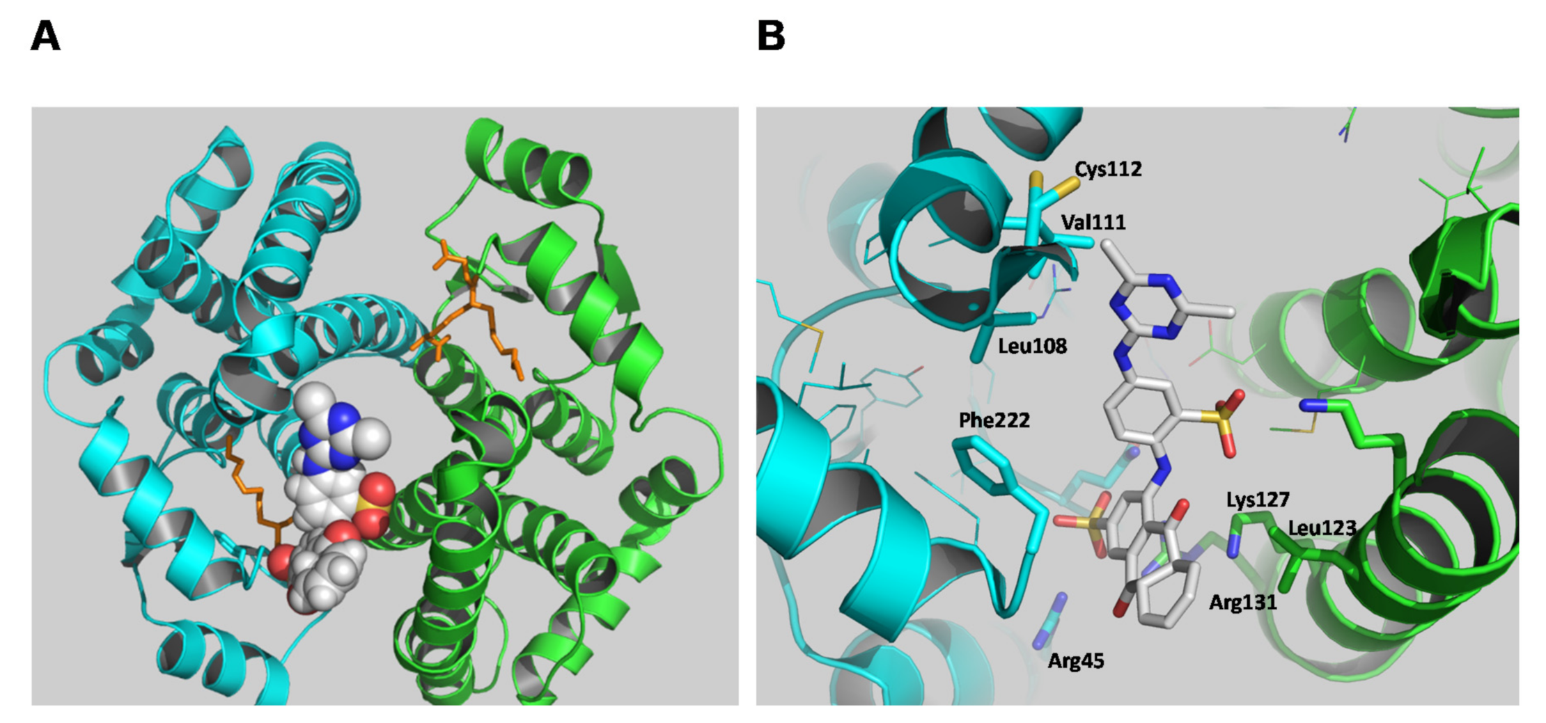 Molecules 26 02399 g006