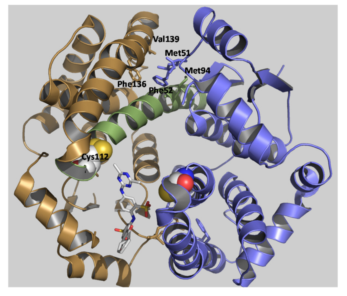 Molecules 26 02399 g008