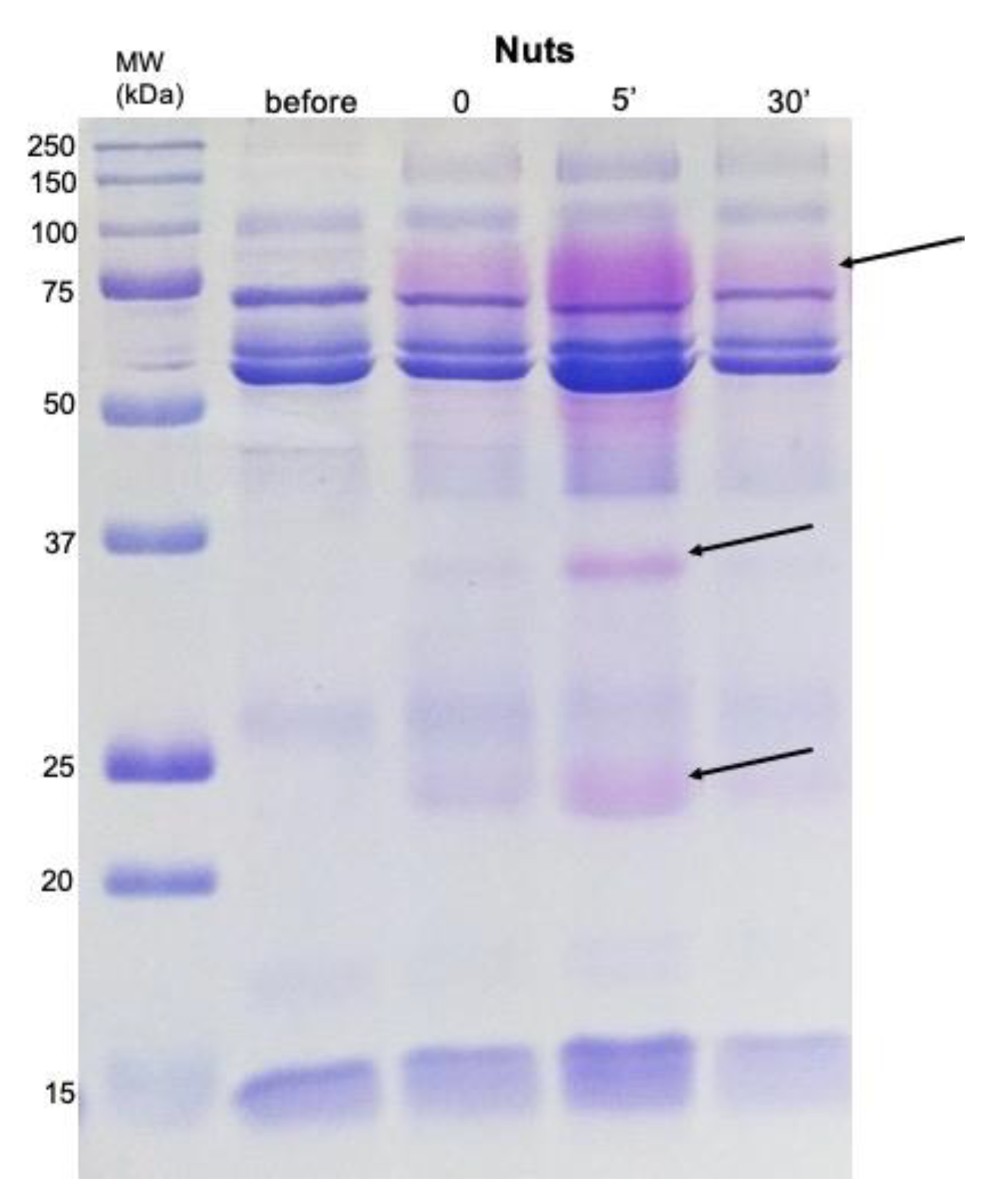 Molecules 26 02403 g005