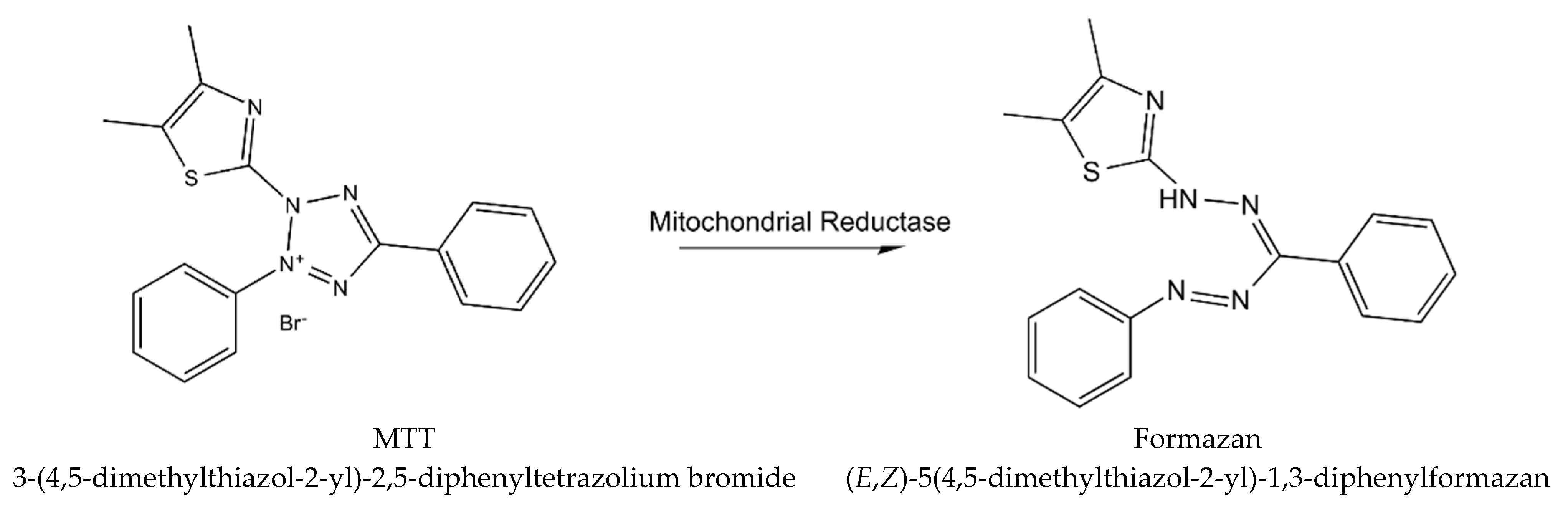 Molecules 26 02407 g003
