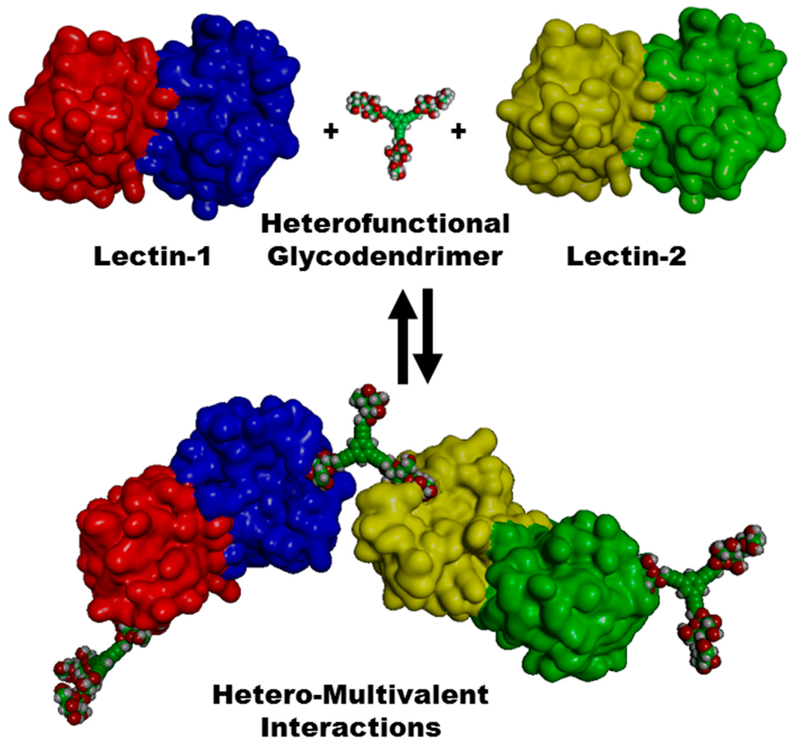 Molecules 26 02428 g001