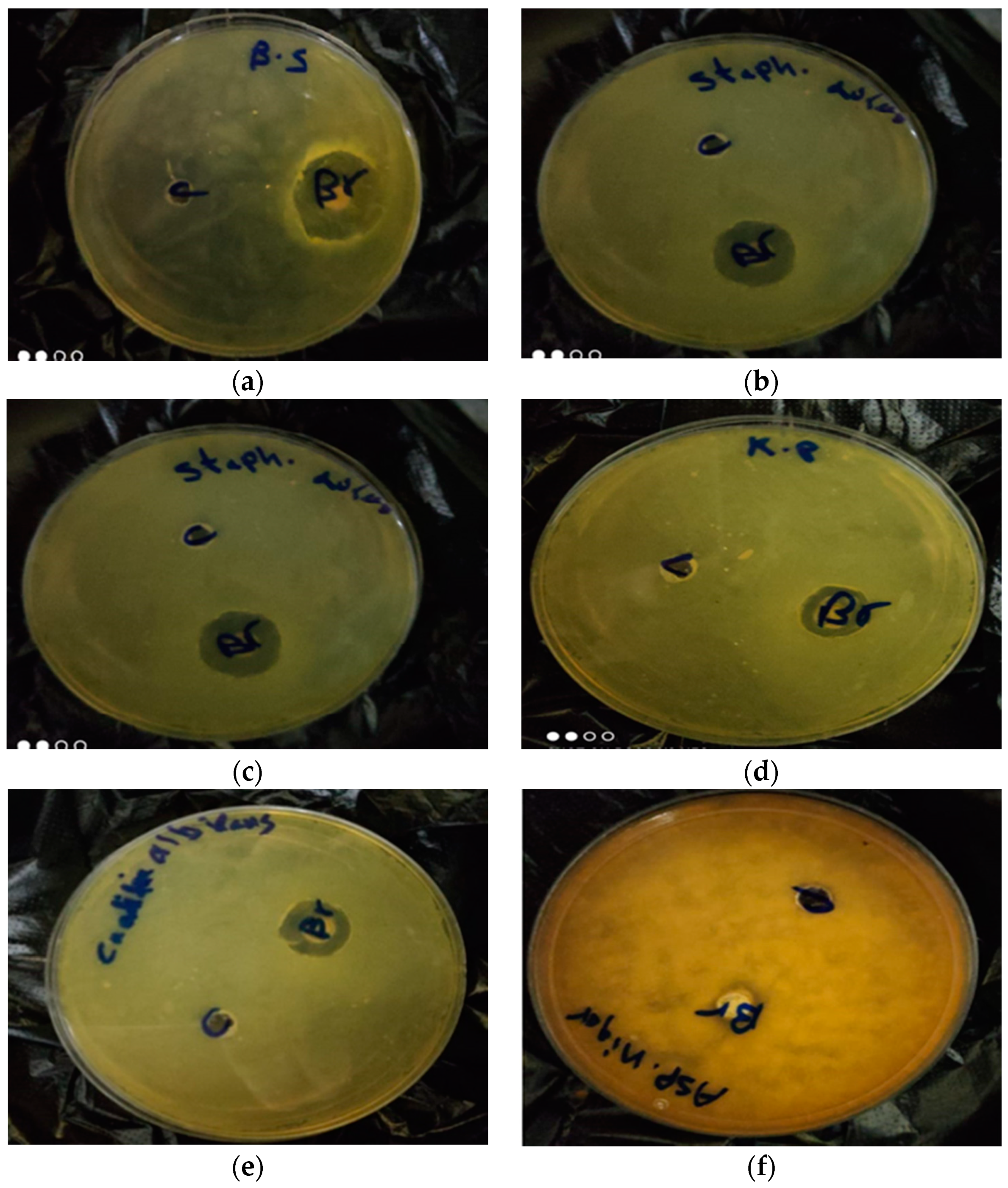 Molecules 26 02433 g002