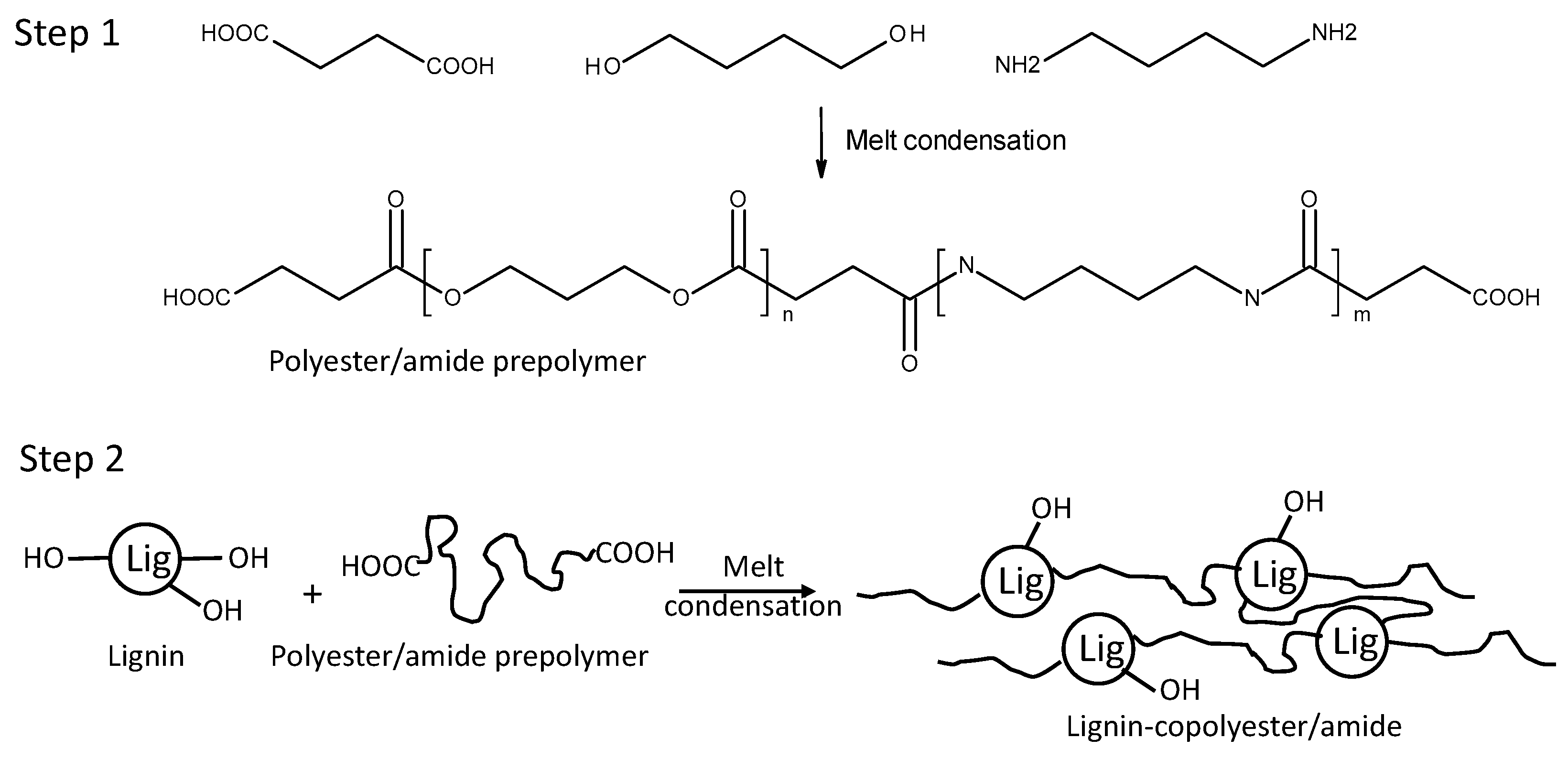 Molecules 26 02437 g001